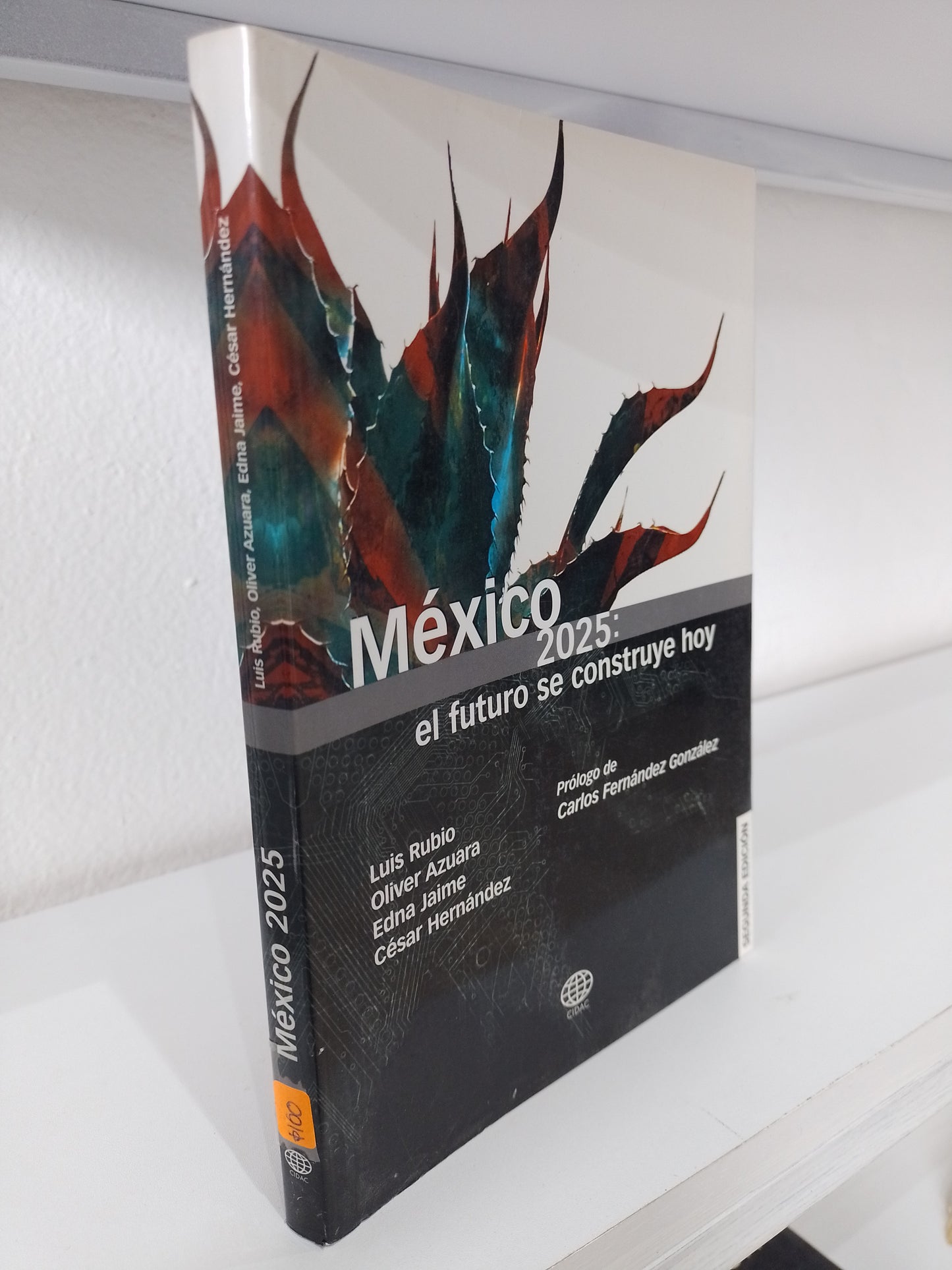 MEXICO 2025 EL FUTURO SE CONSTRUYE HOY POR LUIS RUBIO OLIVER AZUARA EDNA JAIME CESAR HERNANDEZ USADO POLITICA JUAREZ 515