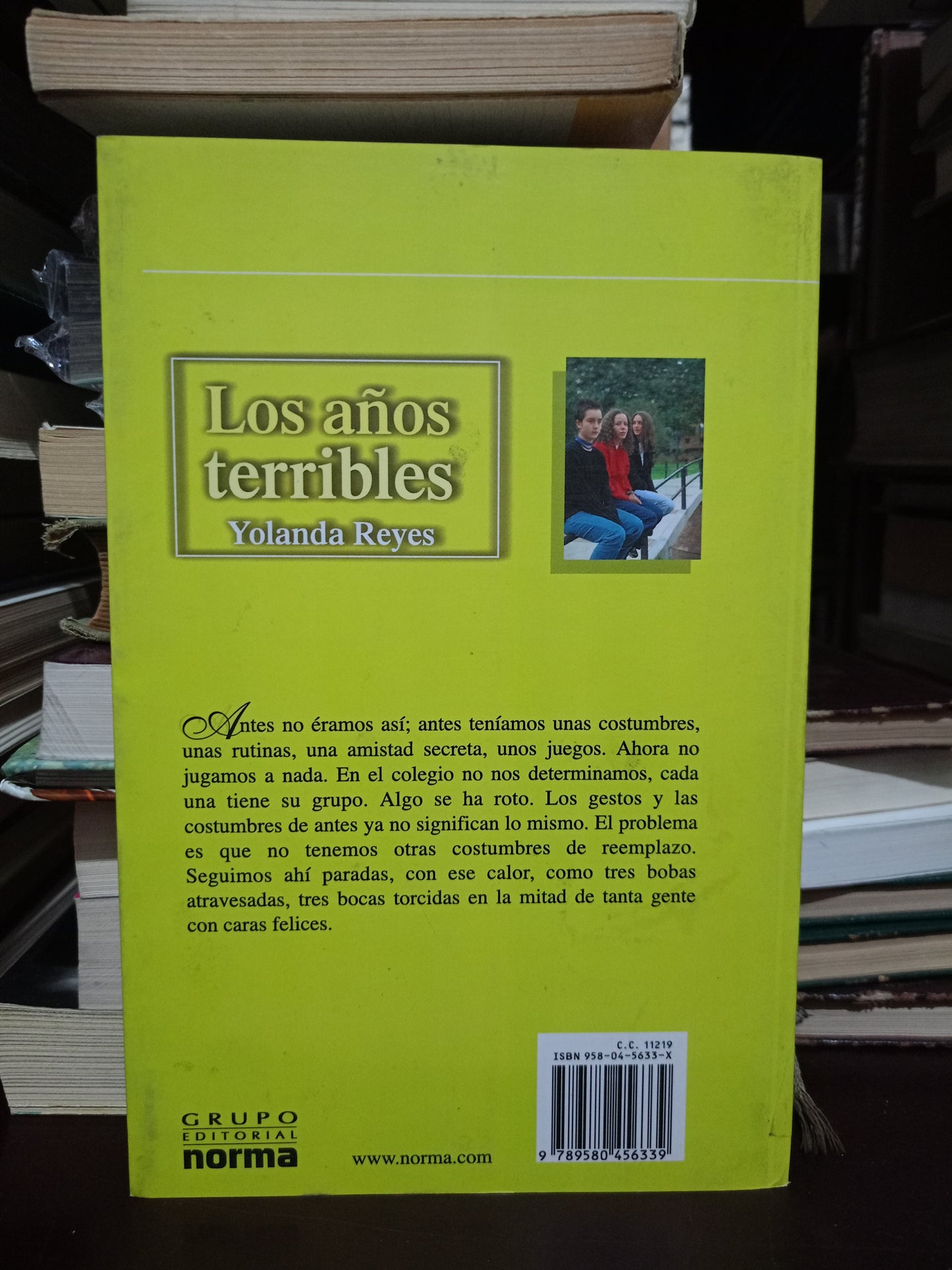 LOS AÑOS TERRIBLES POR YOLANDA REYES USADO NOVELA LITERARIO 305