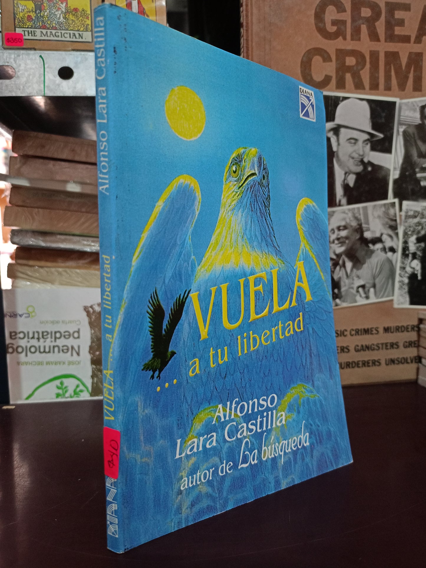 VUELA... A TU LIBERTAD POR ALFONSO LARA CASTILLA USADO SUPERACIÓN PERSONAL LITERARIO 305