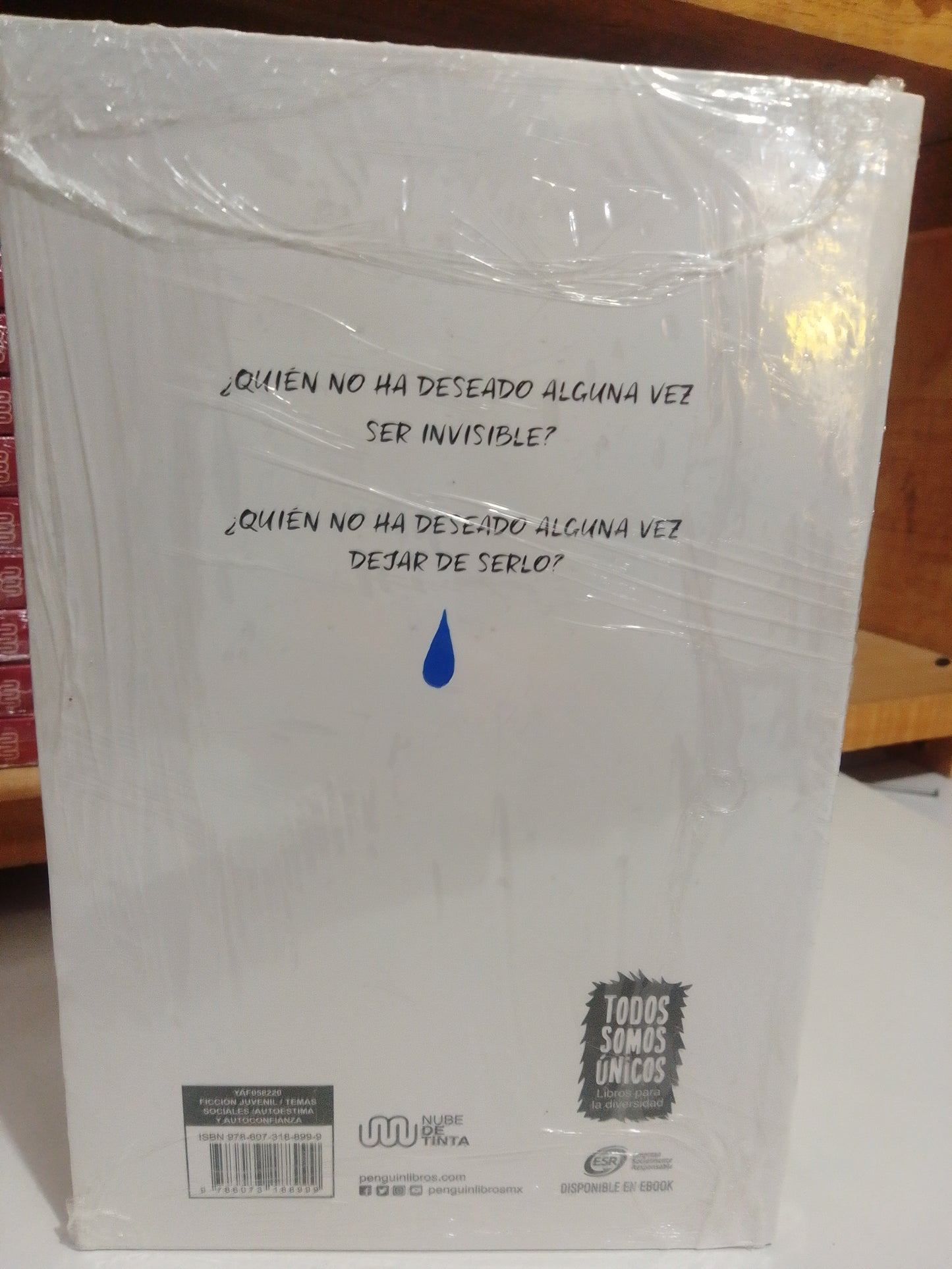 INVISIBLE POR ELOY MORENO NUEVO JUAREZ