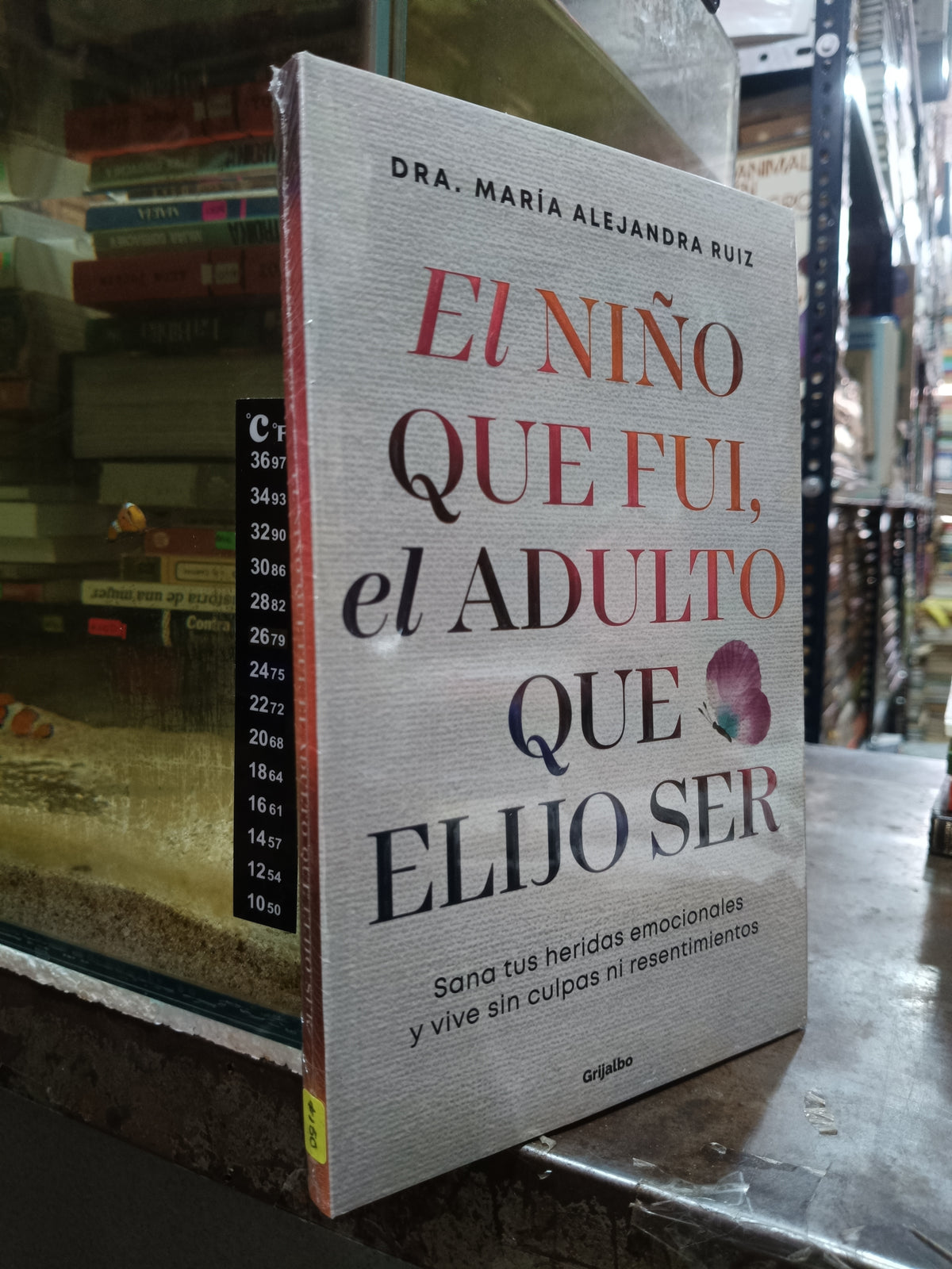 EL NIÑO QUE FUI EL ADULTO QUE ELIJO SER USADO SUPERACION PERSONAL ALDAMA