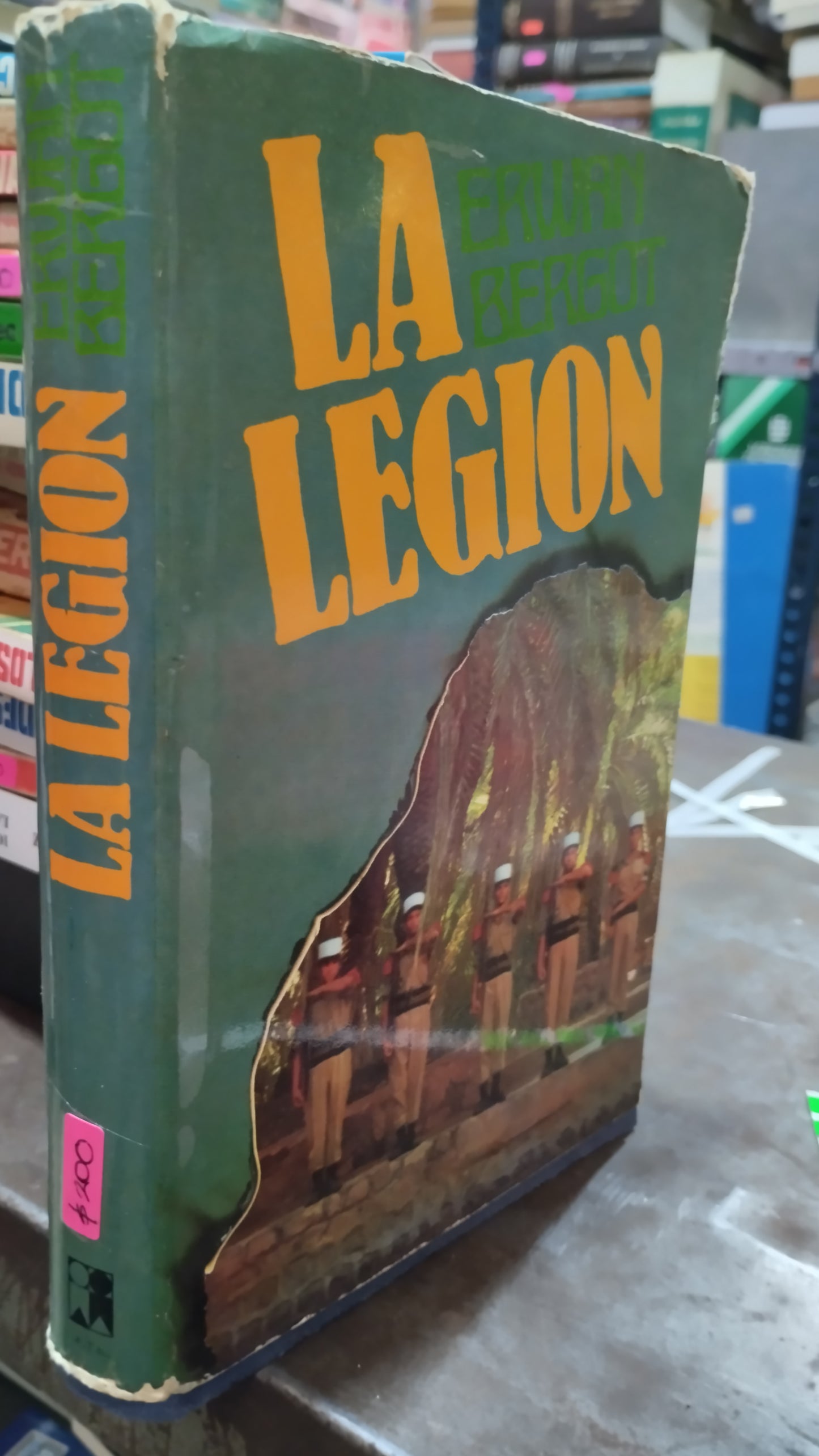 LA LEGION POR ERWAY BERGOT LIBRO USADO HISTORIA ALDAMA