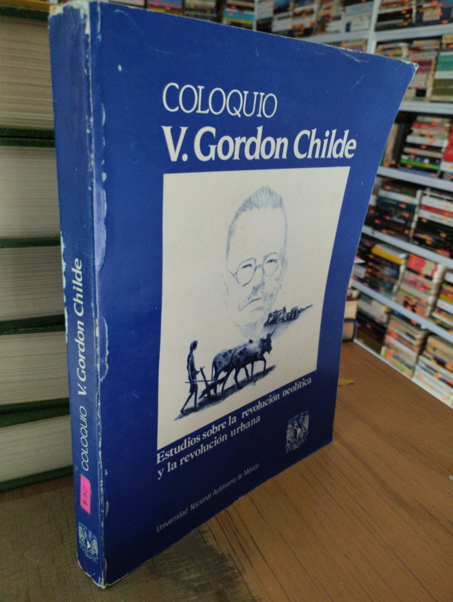 COLOQUIO POR V GORDON CHILDE USADO HISTORIA JUAREZ 515