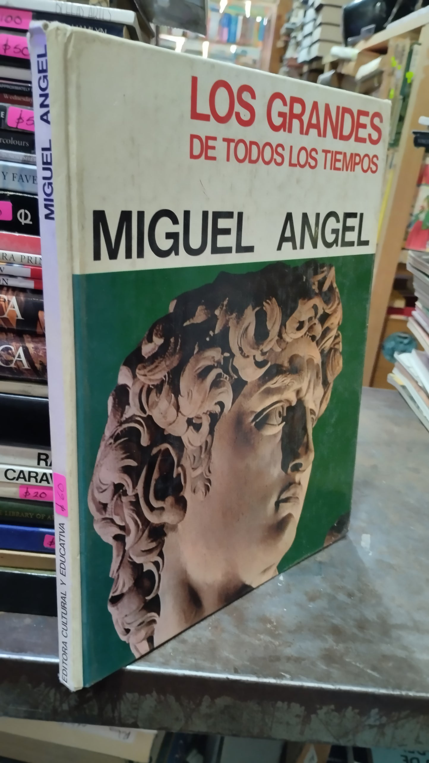 MIGUEL ANGEL LIBRO USADO ARTE ALDAMA