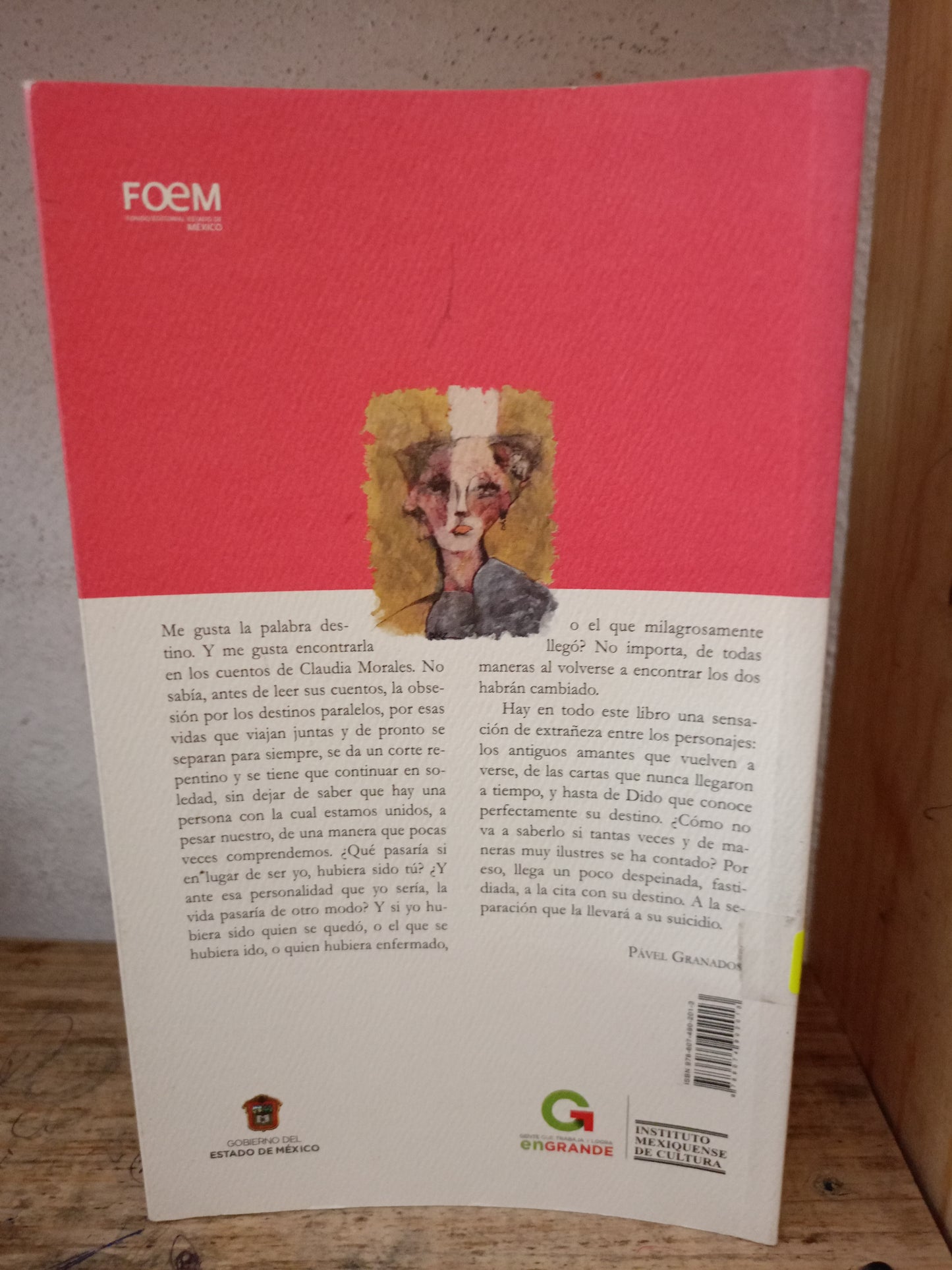 HOSPITALIDAD POR CLAUDIA MORALES USADO NOVELA LITERARIO 305