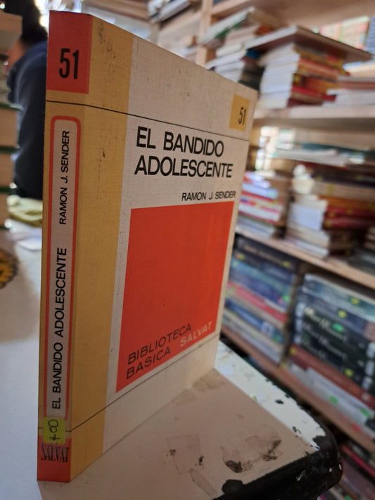 EL BANDIDO ADOLESCENTE RAMON J. SENDER USADO NOVELA LITERARIO 207