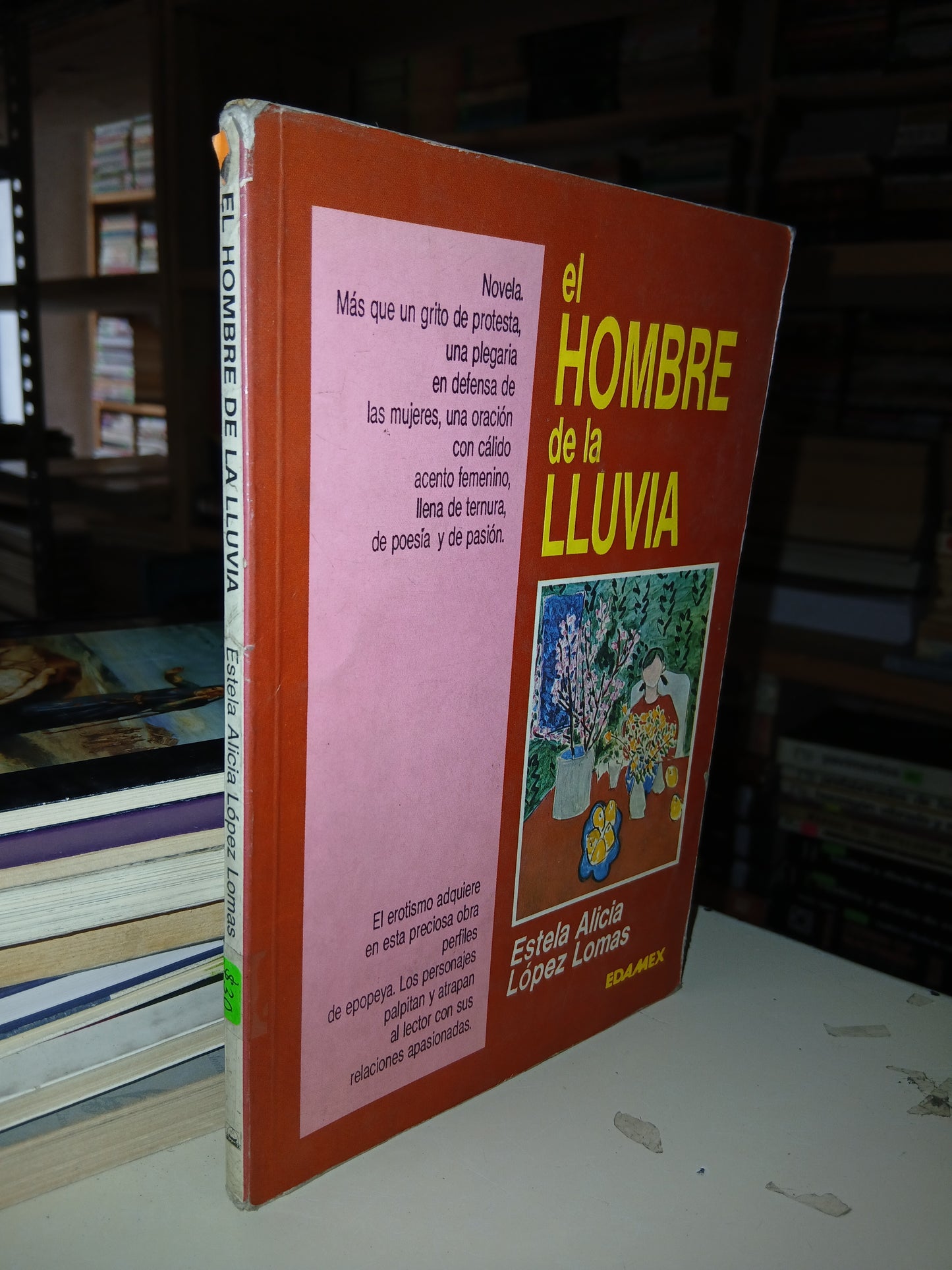 EL HOMBRE DE LA LLUVIA POR ESTELA ALICIA LÓPEZ LOMAS USADO NOVELA LITERARIO 207