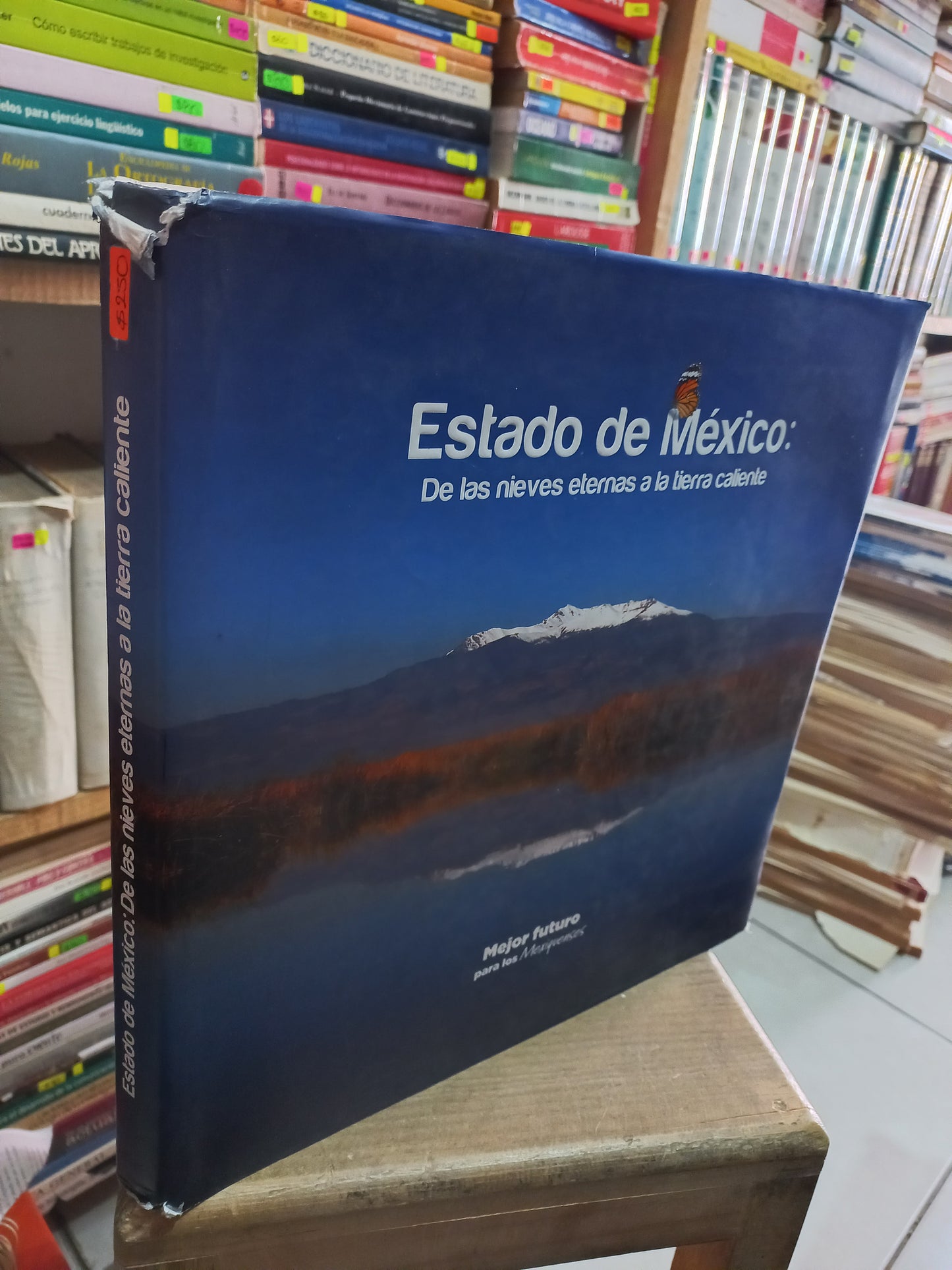 ESTADO DE MÉXICO: DE LAS NIEVES ETERNAS A LA TIERRA CALIENTE POR OCTAVIO MONROY-VILCHIS USADO ARTE LITERARIO 305