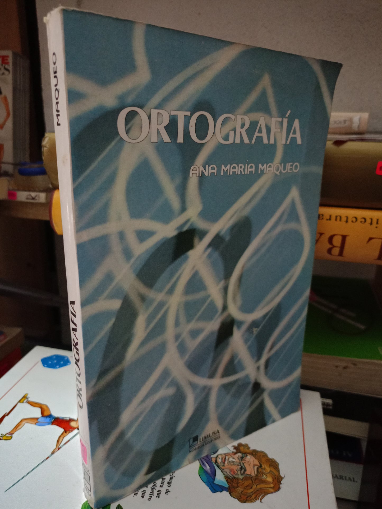 ORTOGRAFIA POR ANA MARIA MAQUEO USADO EDUCACIÓN LITERARIO 305
