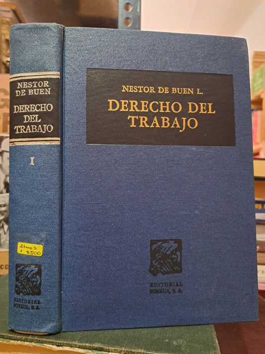 DERECHO DEL TRABAJO TOMO I Y II NÉSTOR DE BUEN L. USADO DERECHO LITERARIO 305