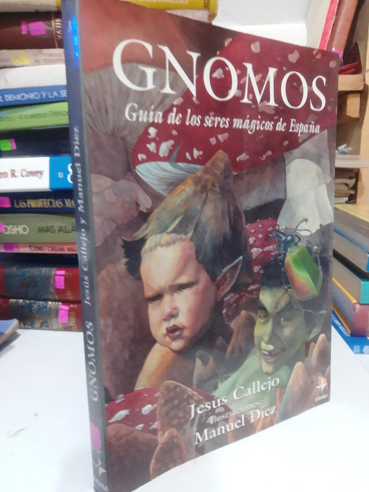 GNOMOS GUIA DE SERES MAGICOS DE ESPAÑA POR JESUS CALLEJO USADO NOVELA JUAREZ