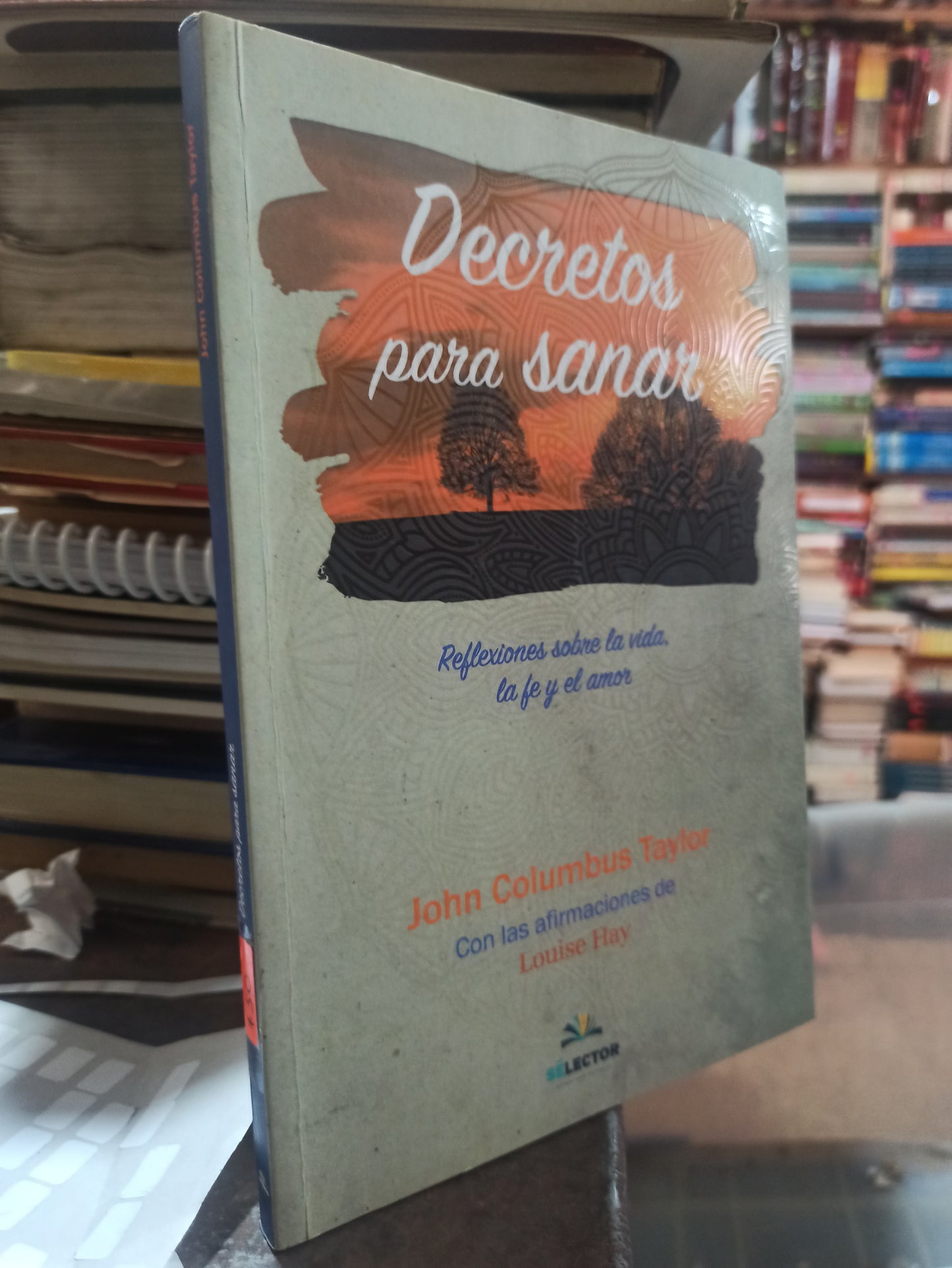 DECRETOS PARA SANAR POR JOHN COLUMBUS TAYLOR USADO SUPERACION PERSONAL ALDAMA
