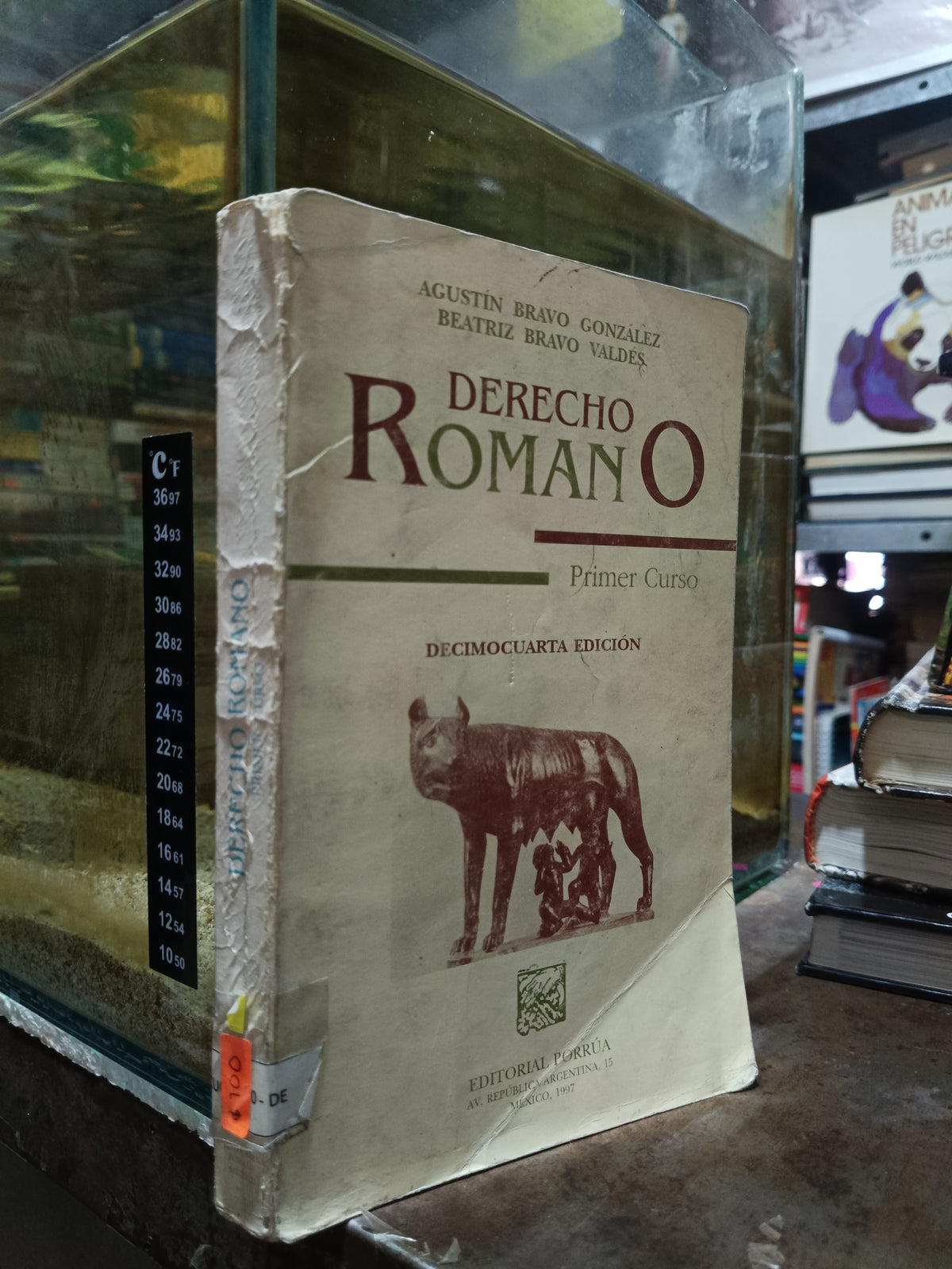 DERECHO ROMANO PRIMER CURSO POR BRAVO GONZÁLEZ Y BRAVO VALDÉS USADO DERECHO ALDAMA