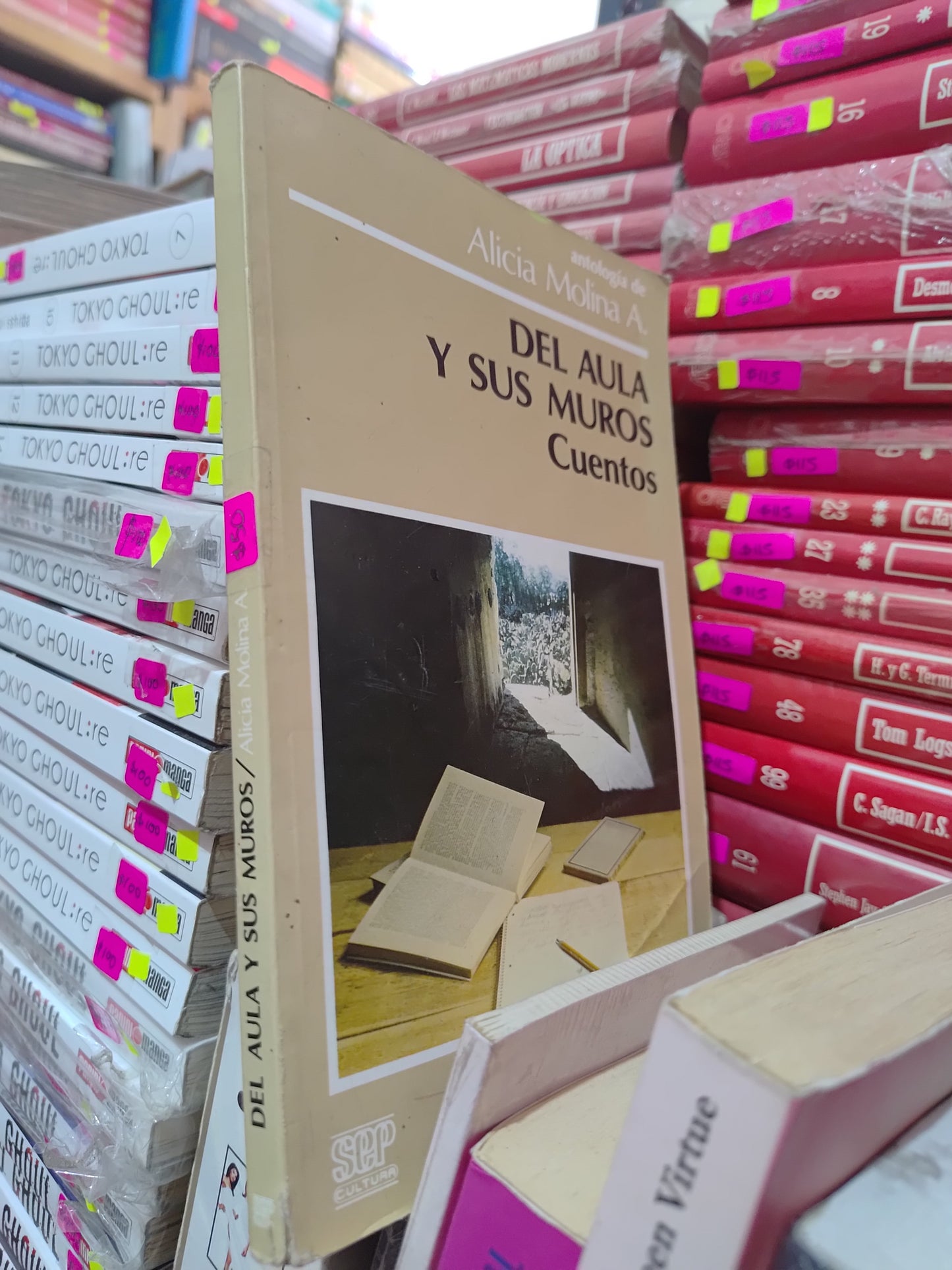 DEL AULA Y SUS MUROS CUENTOS POR ALICIA MOLINA A. USADO NOVELAS LITERARIO 305