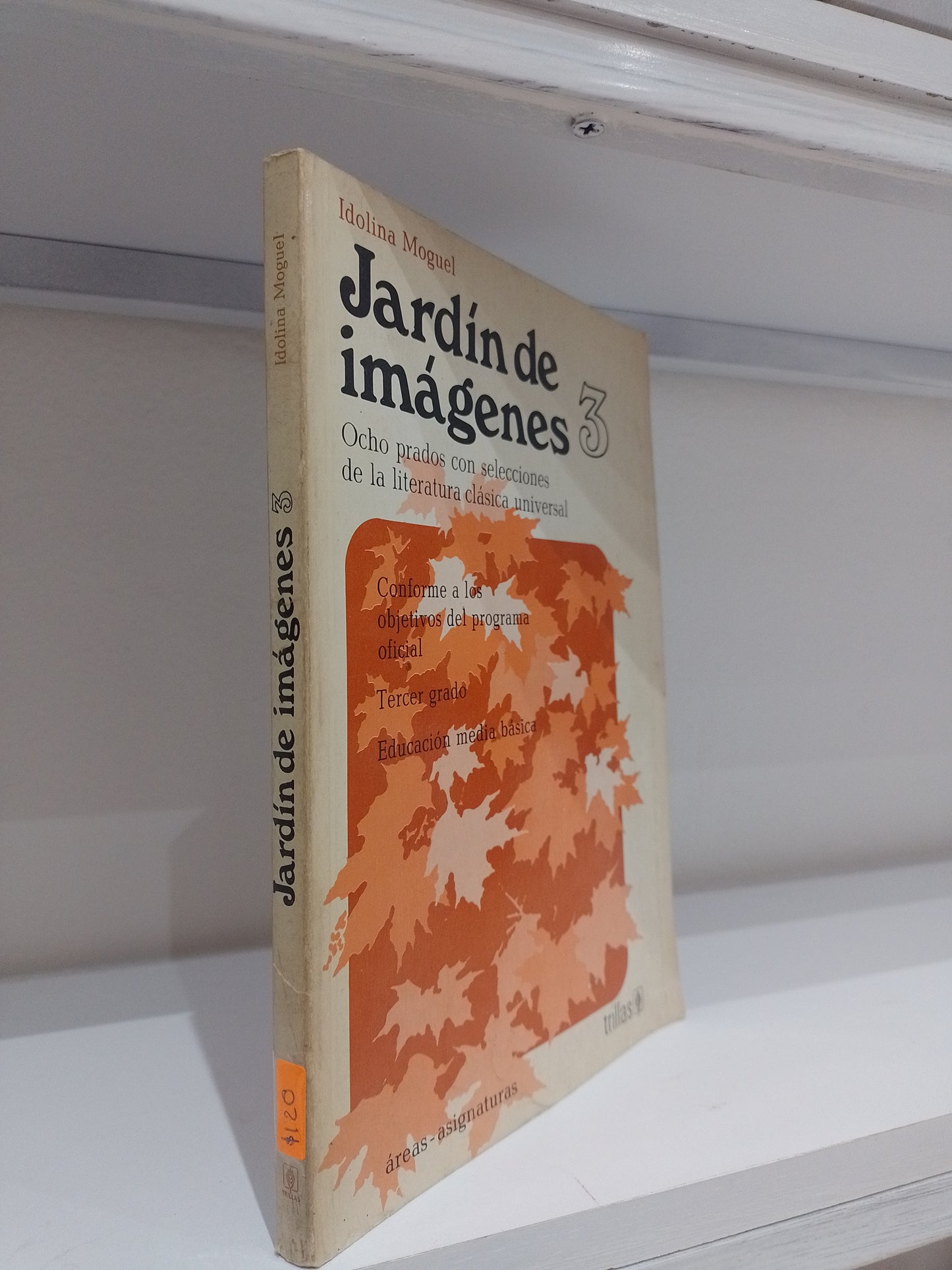 JARDIN DE IMAGENES 3 POR IDOLONA MOGUEL USADO NOVELA JUAREZ 515