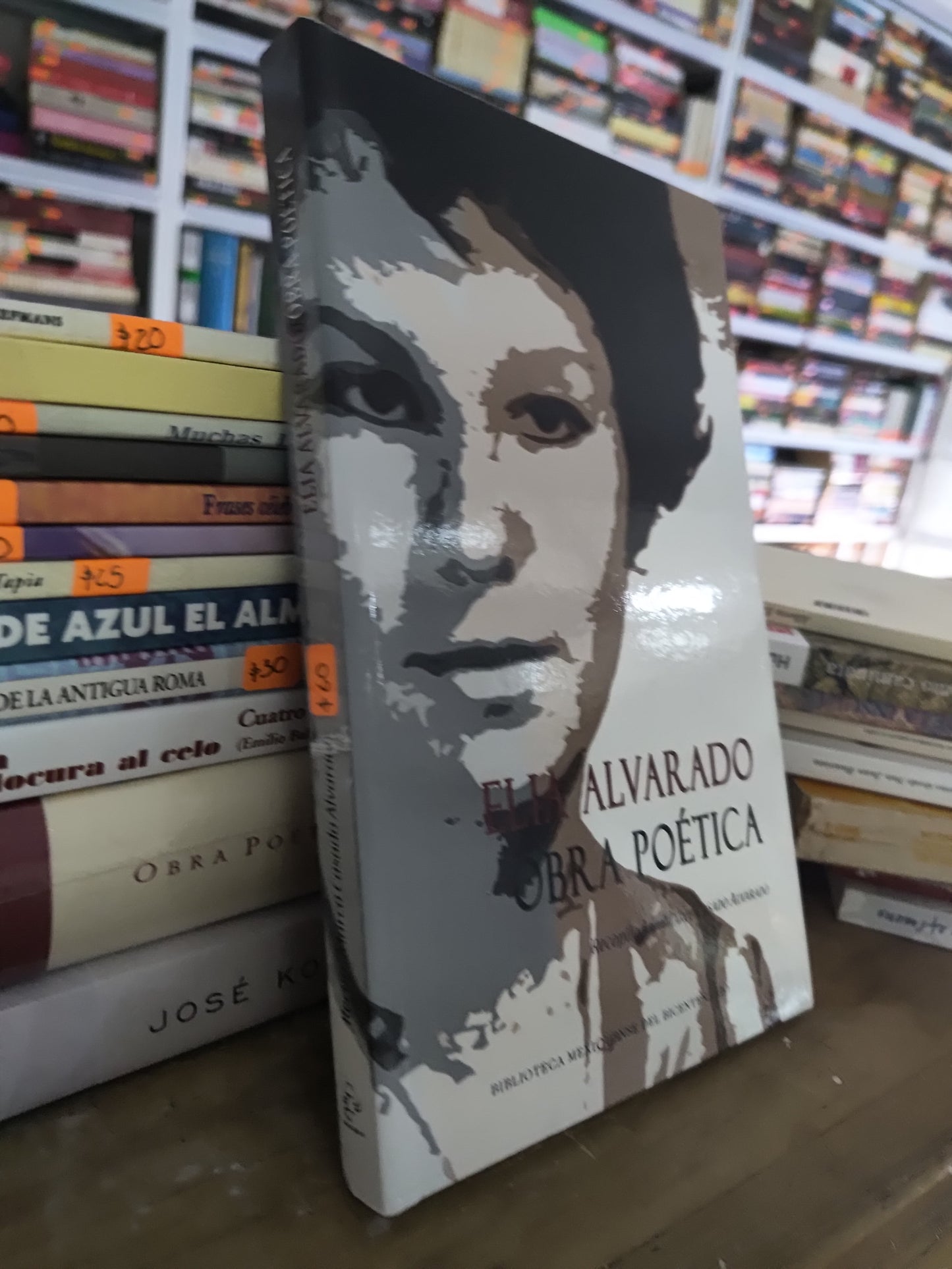OBRA POETICA POR ALIA ALVARADO USADO POESIA JUAREZ 515