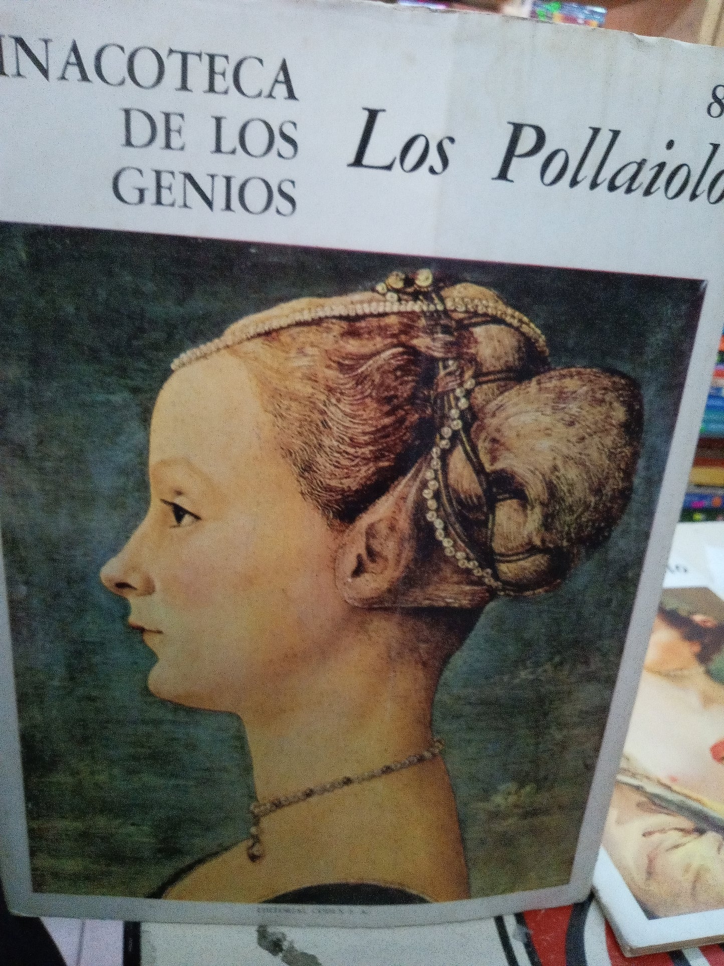 PINACOTECA DE LOS GENIOS LOS POLLAIOLO POR ARTURO BOVI USADO ARTE LITERARIO 207