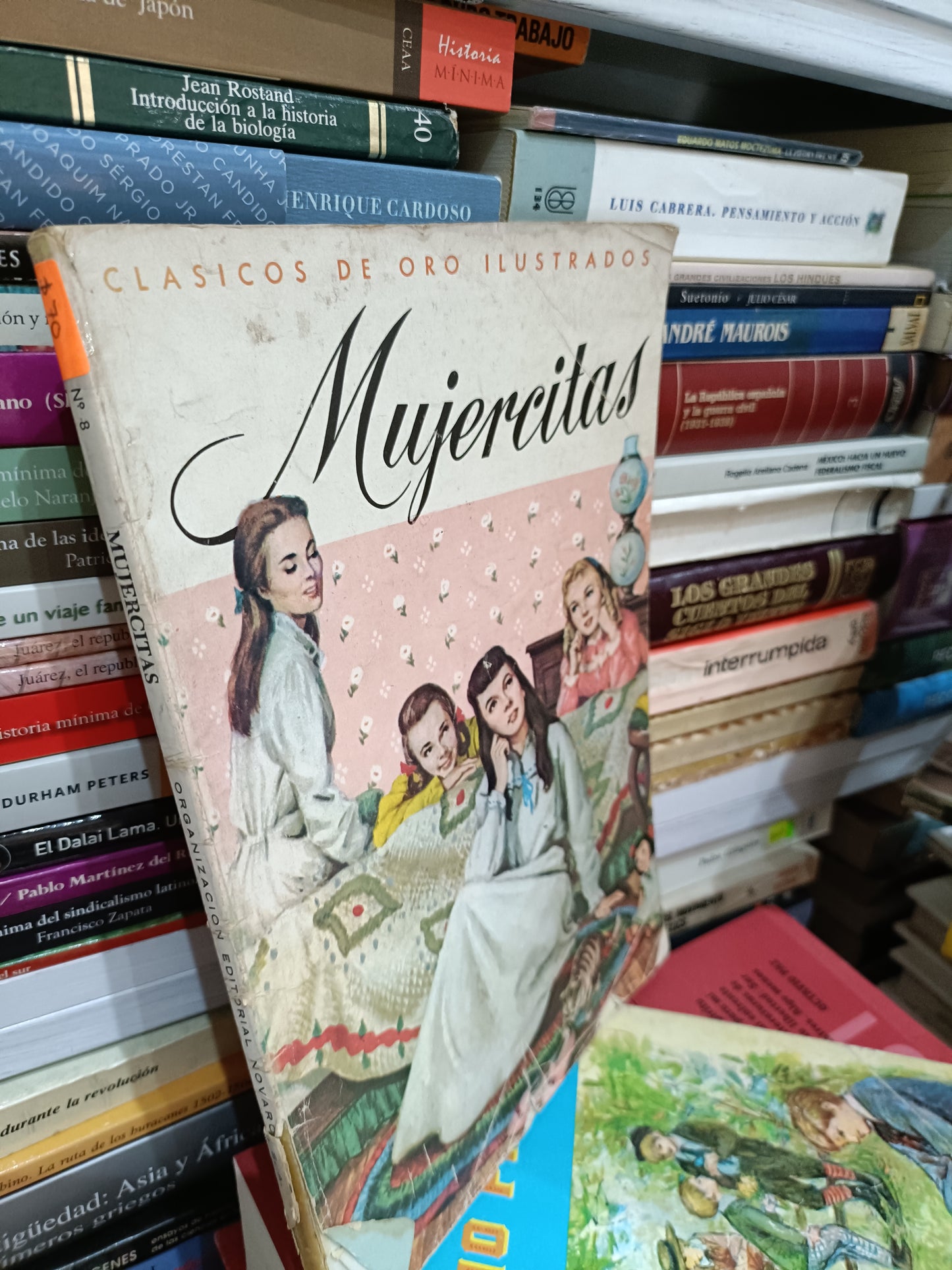 MUJERCITAS ILUSTRADO USADO NOVELA JUAREZ 515