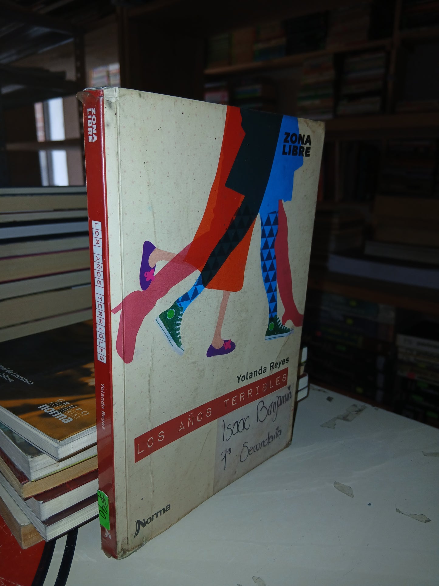 LOS AÑOS TERRIBLES POR  YOLANDA REYES USADO NOVELA LITERARIO 207