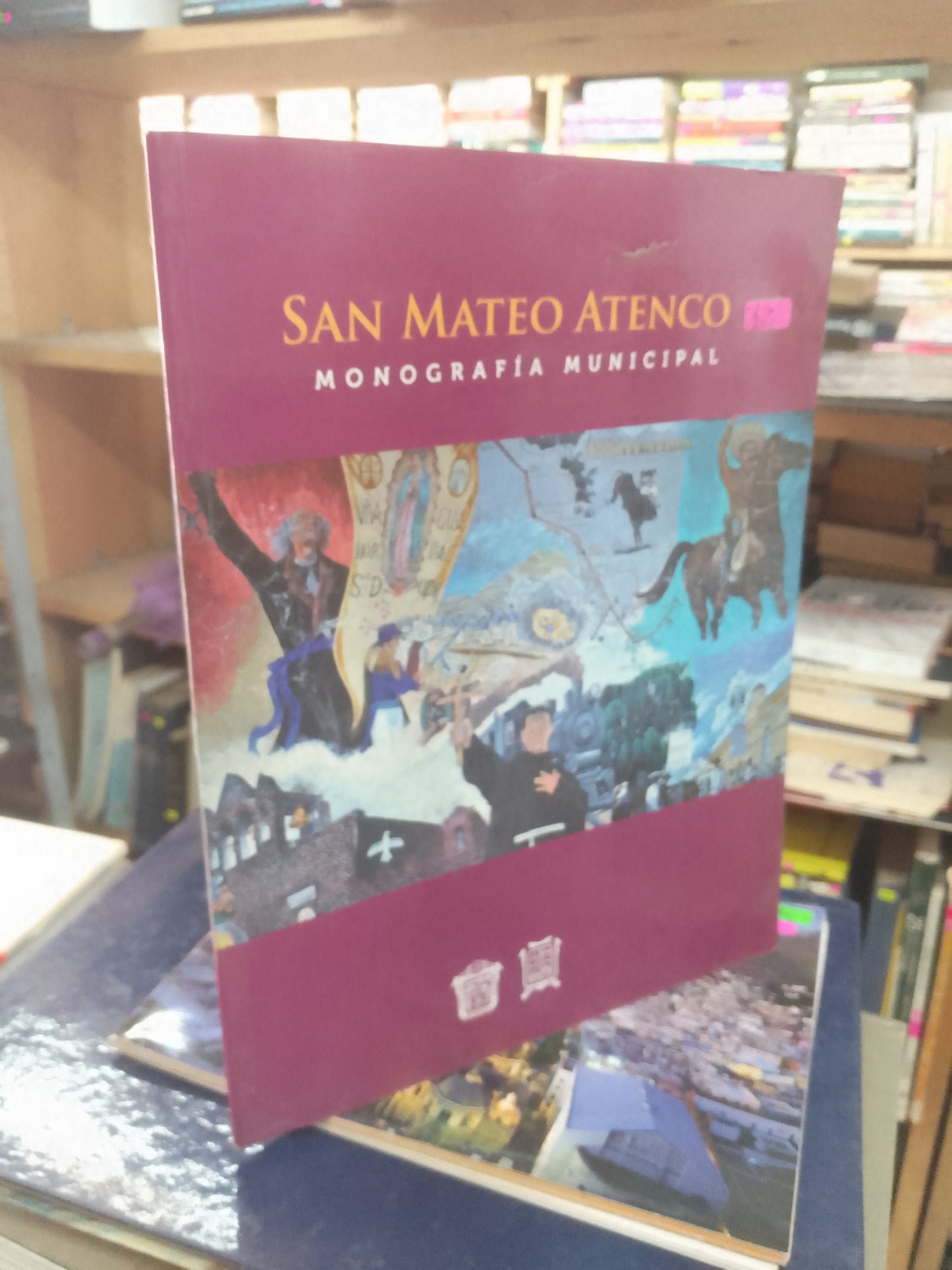 SAN MATEO ATENCO. MONOGRAFÍA MUNICIPAL USADO TURISMO LITERARIO 207