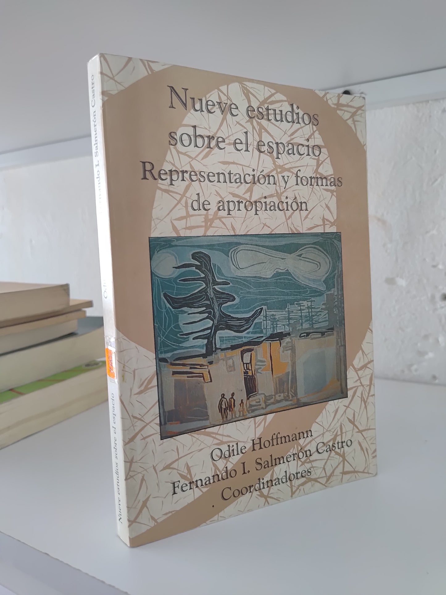 NUEVE ESTUDIOS SOBRE EL ESPACIO REPRESENTACION Y FORMAS DE APROPIACION POR ODILE HOFFMAN USADO SOCIOLOGIA JUAREZ 515