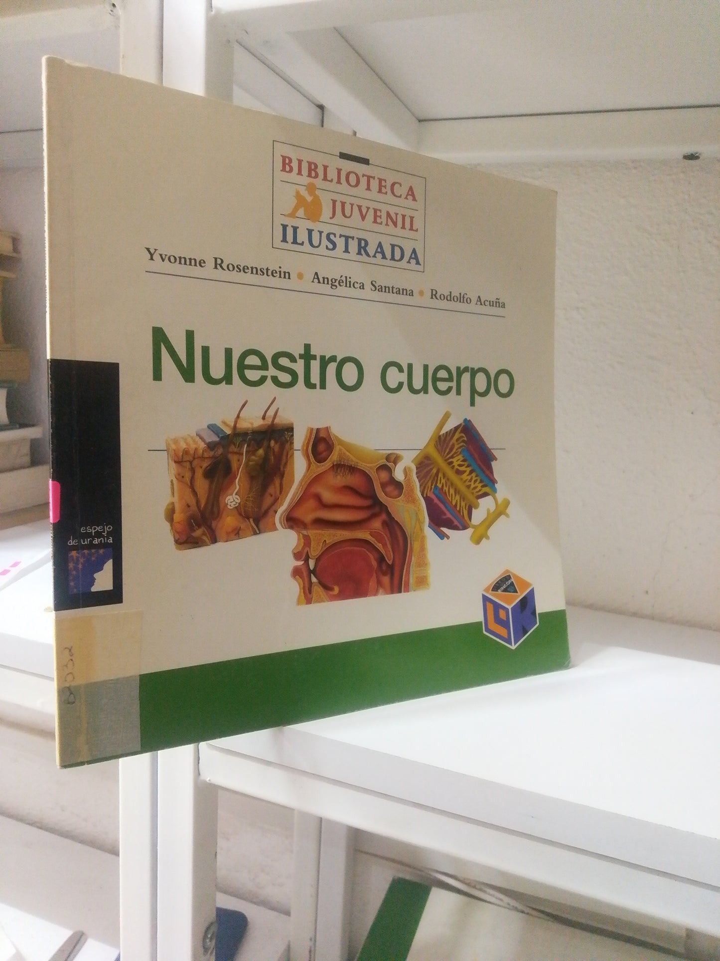 NUESTRO CUERPO POR YVONNE ROSENSTEIN USADO INFANTIL JUAREZ 515