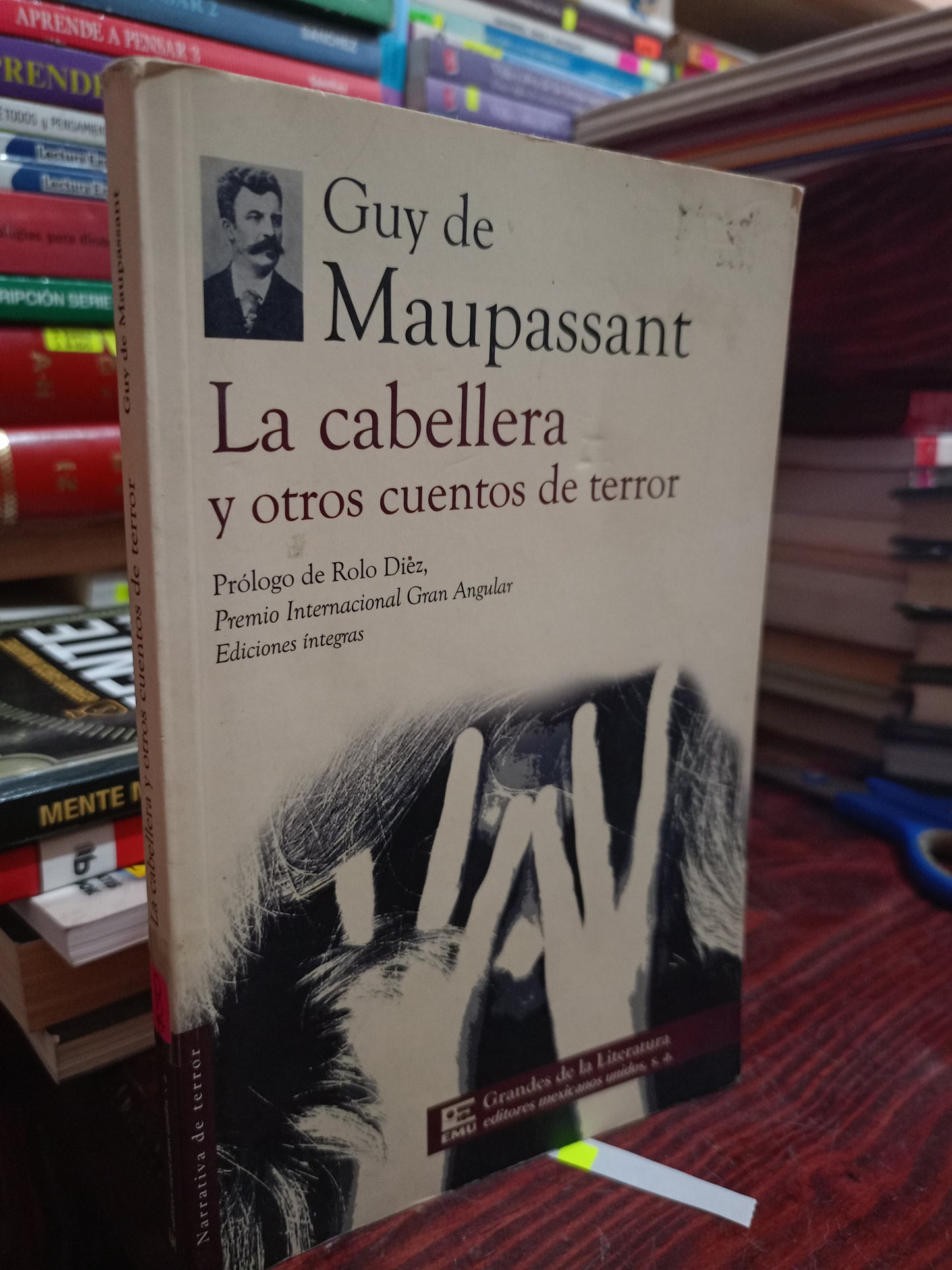 LA CABELLERA Y OTROS CUENTOS DE TERROR POR GUY DE MAUPASSANT USADO NOVELA LITERARIO 305
