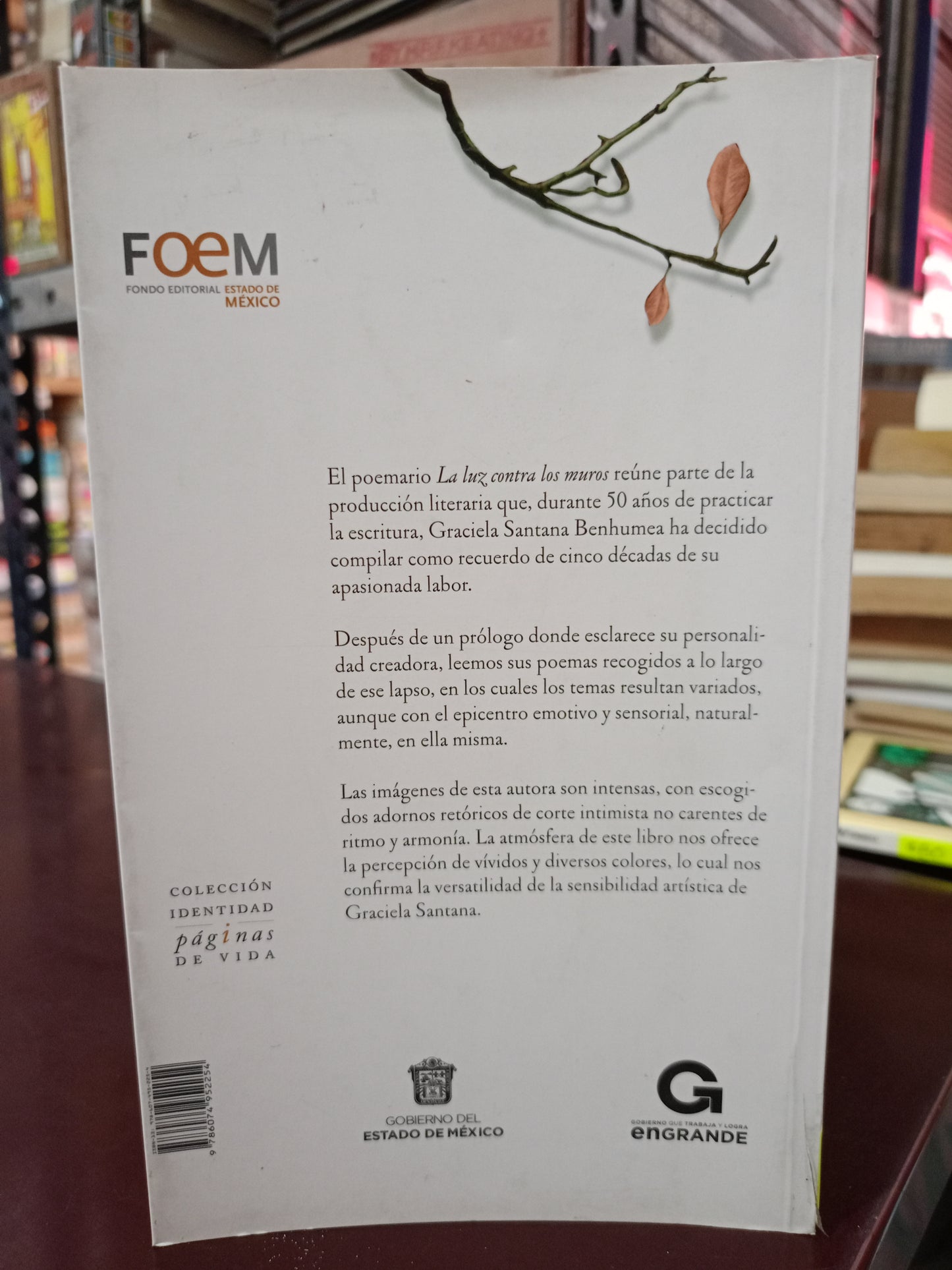 LA LUZ CONTRA LOS MUROS POR GRACIELA SANTANA BENHUMEA USADO NOVELA LITERARIO 305