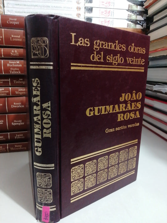 GRANDES OBRAS DEL SIGLO VEINTE POR JOAO GUIMARAES ROSA USADO NOVELA JUAREZ