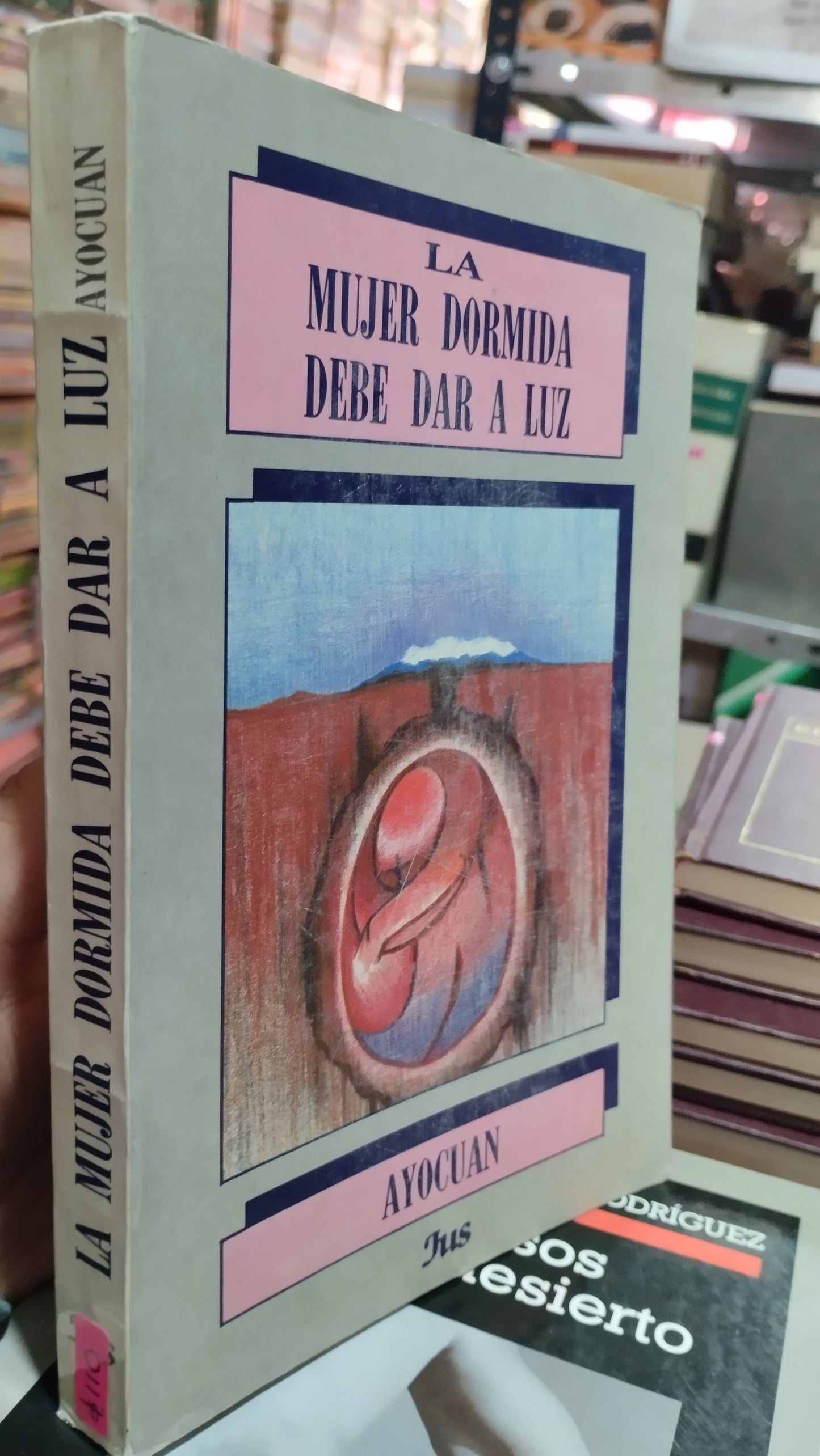 LA MUJER DORMIDA DEBE DAR A LUZ AYOCUAN LIBRO USADO NOVELAS ALDAMA