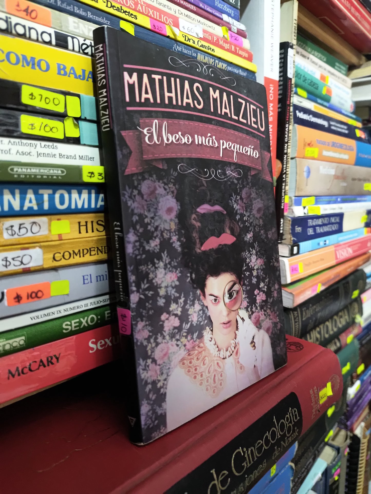 EL BESO MAS PEQUEÑO POR MATHIAS MALZIEU USADO NOVELAS LITERARIO 305