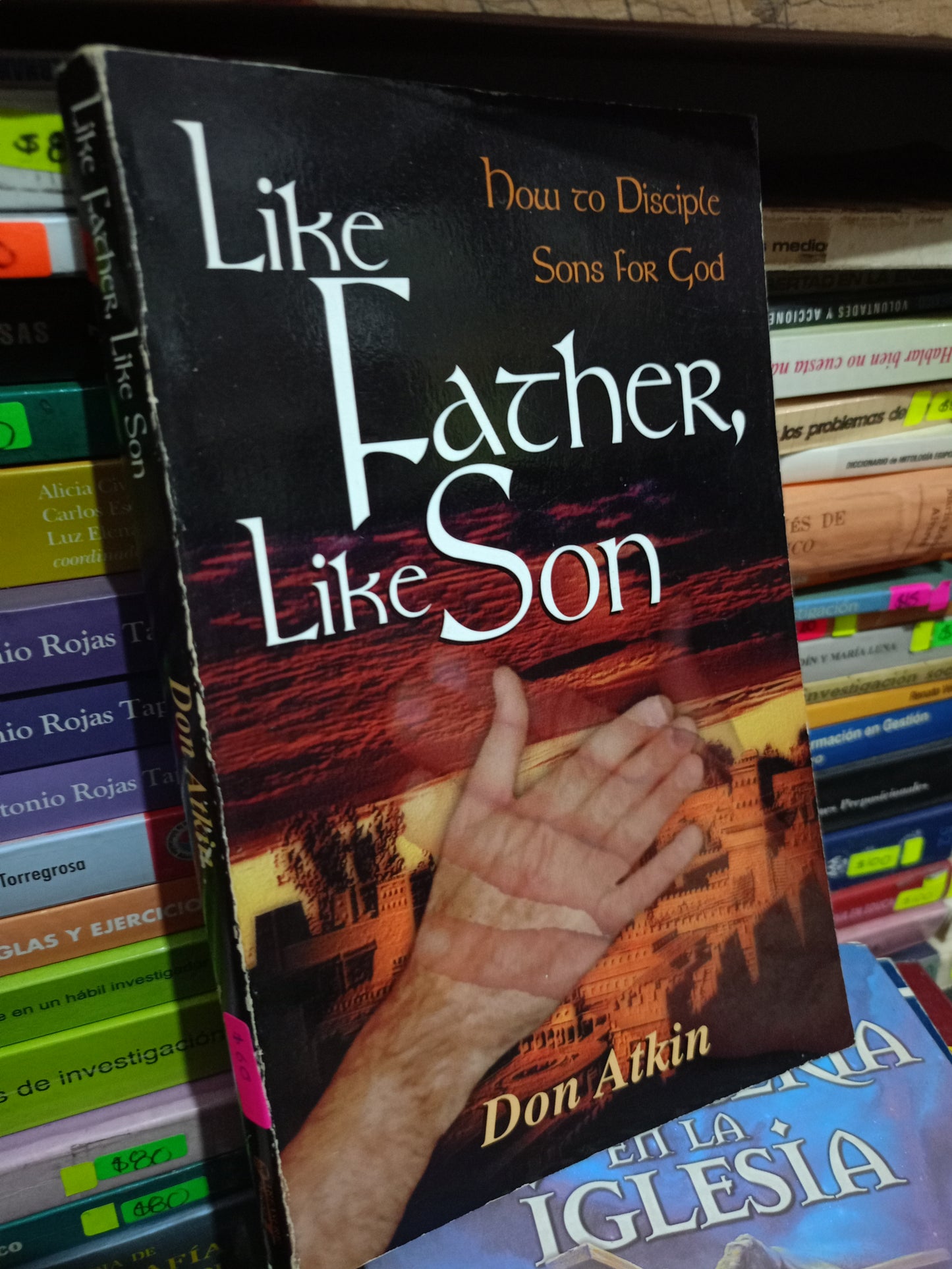 LIKE FACHER LIKE SON POR DON ATKIN USADO IDIOMAS LITERARIO 305