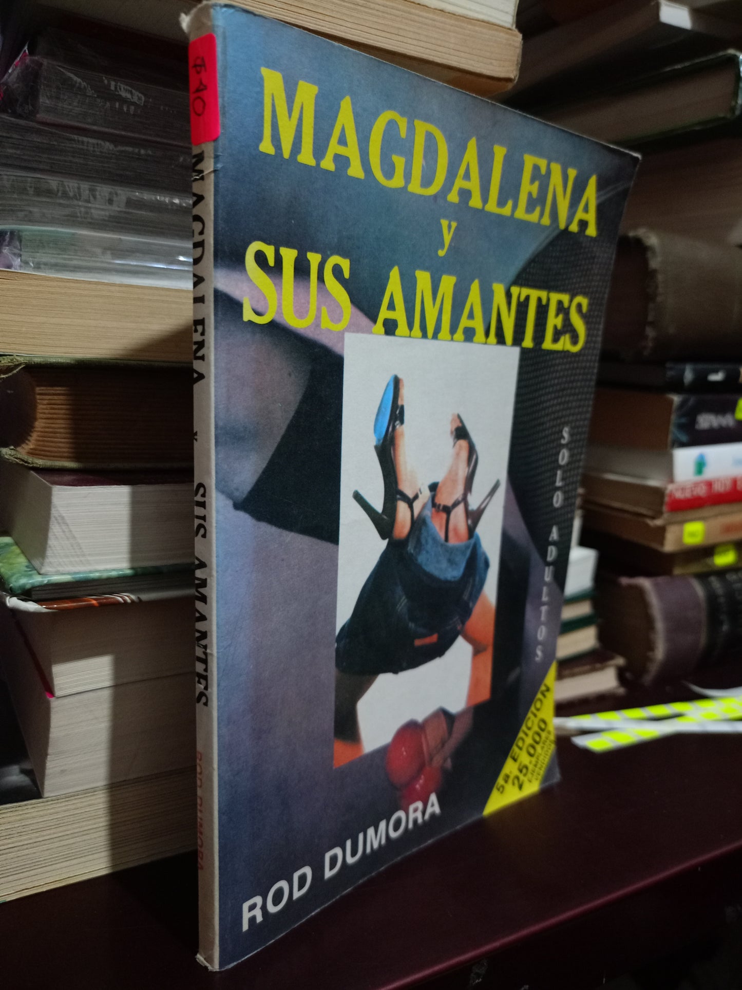 MAGDALENA Y SUS AMANTES POR ROD DUMORA USADO NOVELA LITERARIO 305