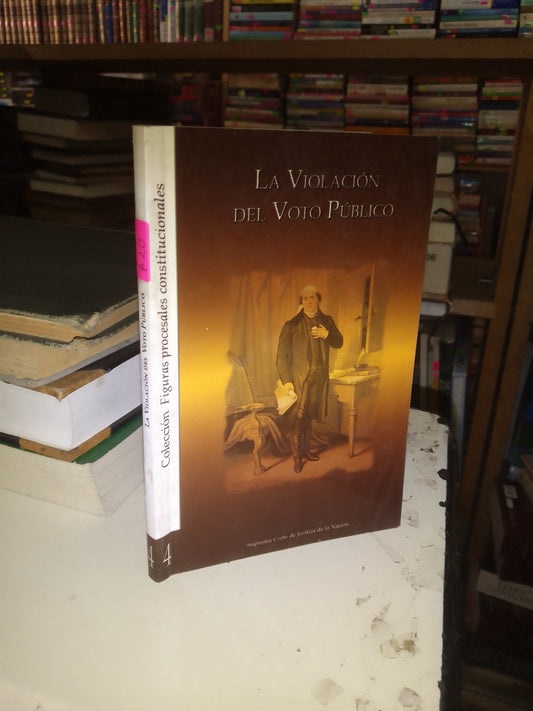 LA VIOLACIÓN DEL VOTO PÚBLICO USADO DERECHO LITERARIO 207