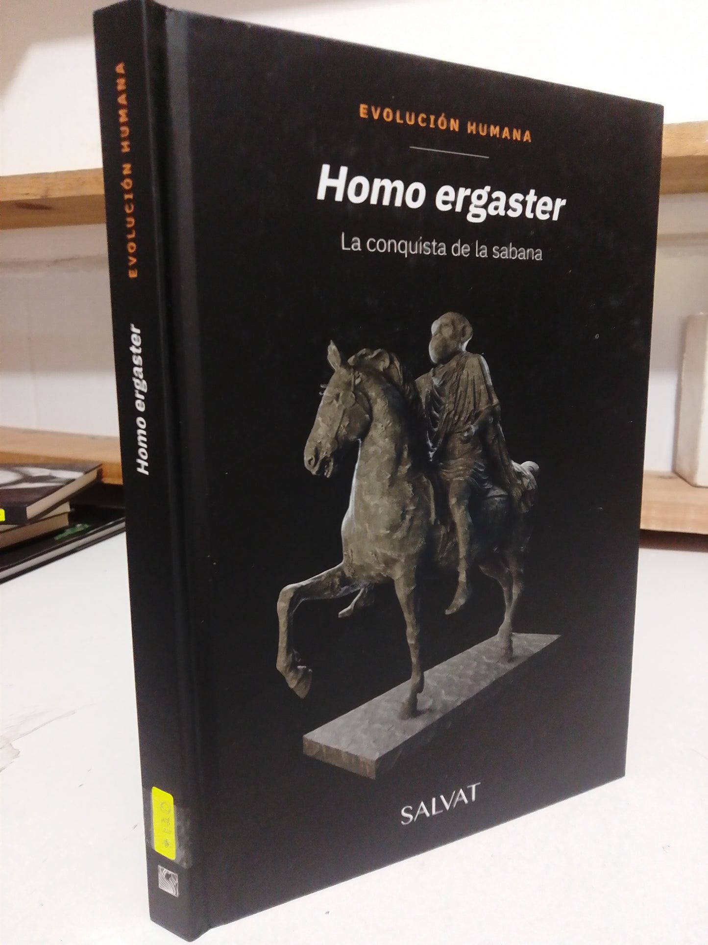 HOMO ERGASTER CONQUISTA DE LA SABANA USADO HISTORIA JUAREZ