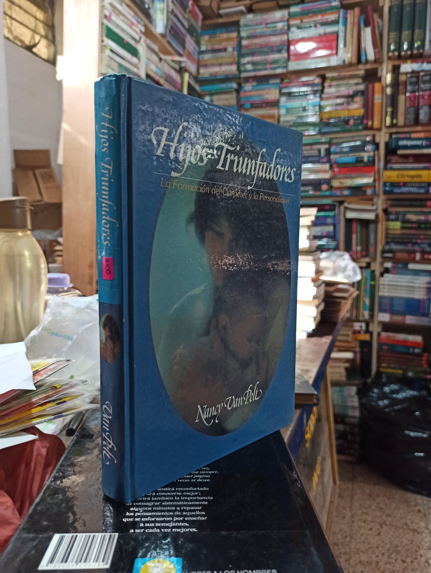 HIJOS TRIUNFADORES POR NANCY VAM PELT USADO SUPERACIÓN PERSONAL ALDAMA