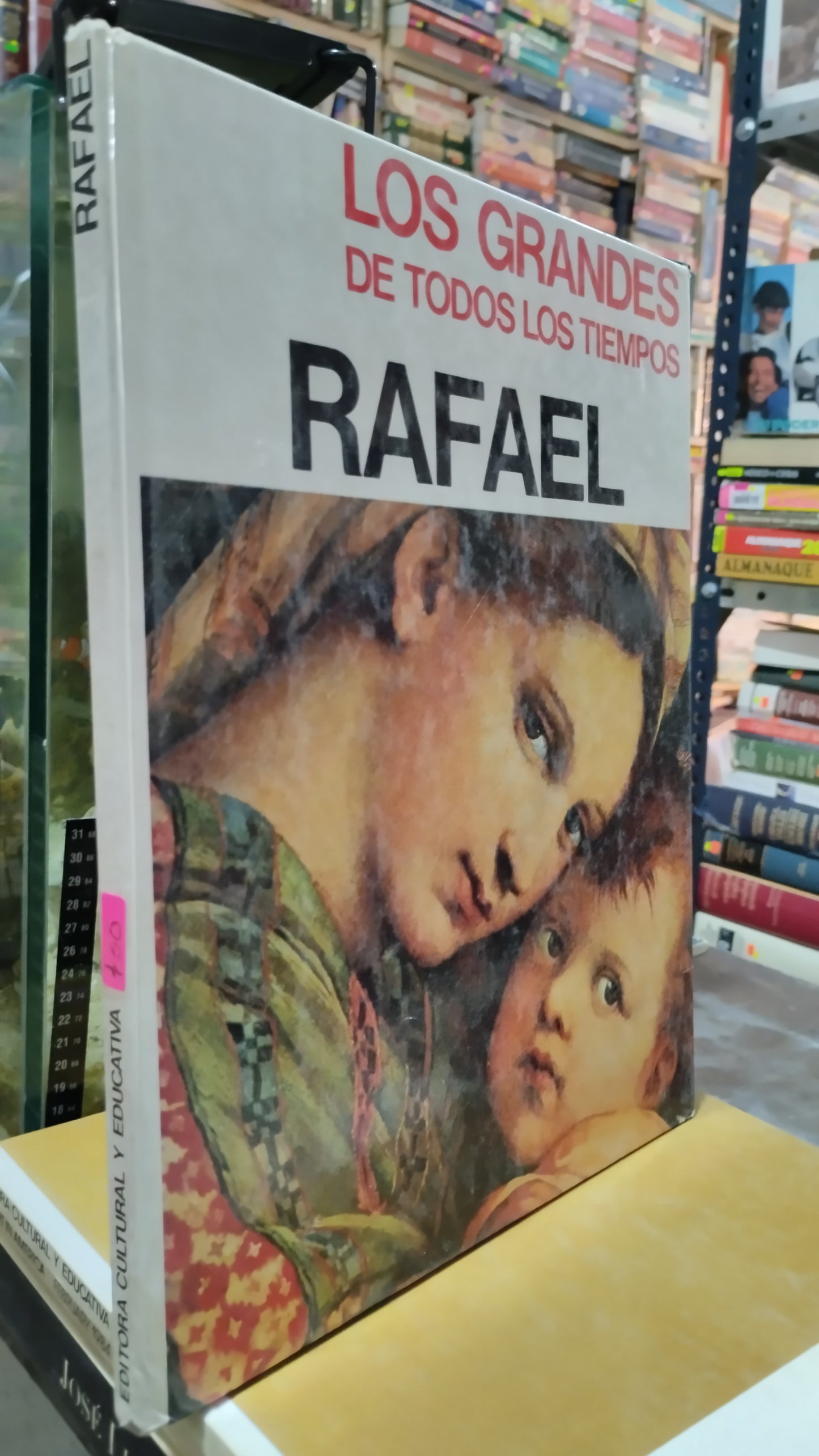 RAFAEL LIBRO USADO ARTE ALDAMA