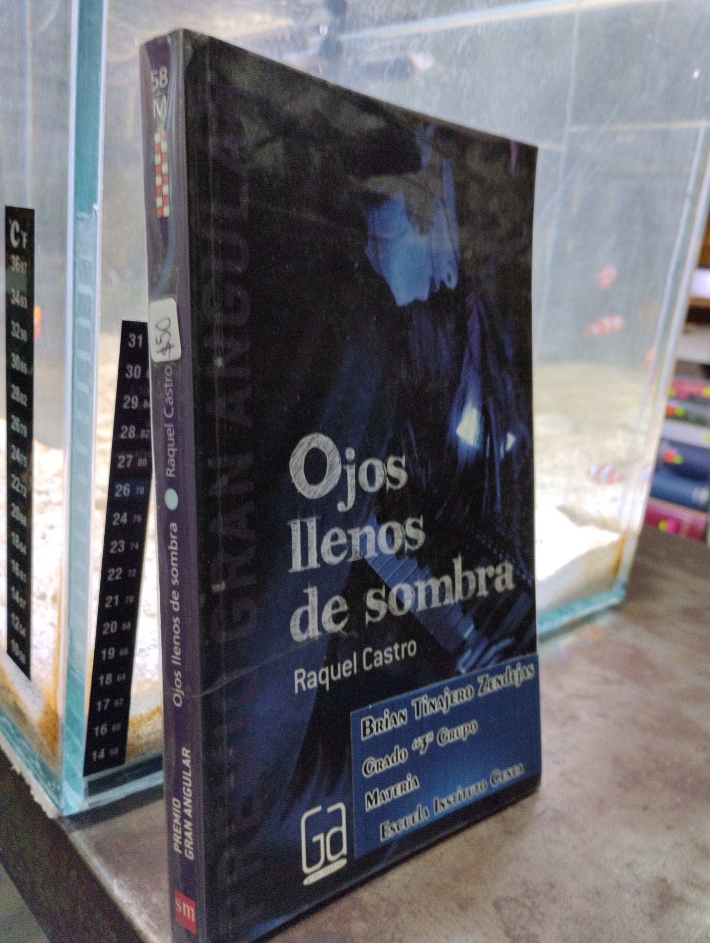 OJOS LLENOS DE SOMBRA POR RAQUEL CASTRO USADO NOVELAS ALDAMA