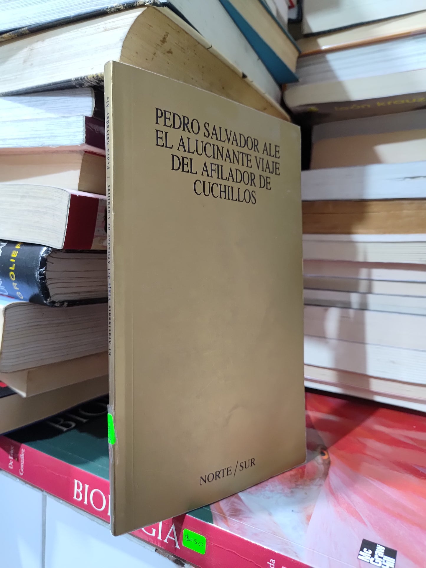 EL ALUCINANTE VIAJE DEL AFILADOR DE CUCHILLOS POR PEDRO SALVADOR  ALE USADO POESIA JUAREZ 507