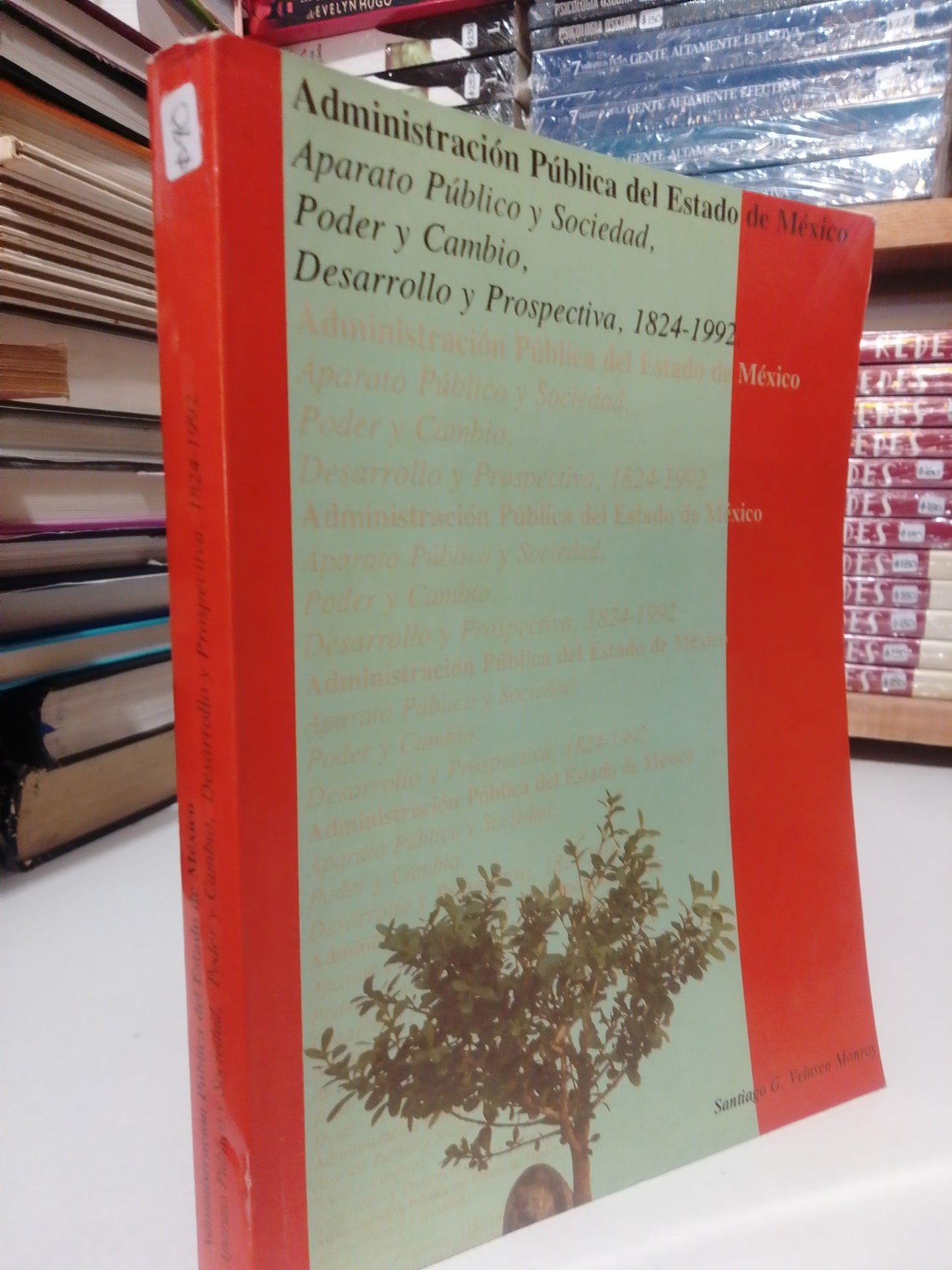 ADMINISTRACION PUBLICA DEL ESTADO DE MEXICO AMPARO PUBLICO Y SOCIEDAD POR SANTIAGO G VELASCO USADO HISTORIA JUAREZ