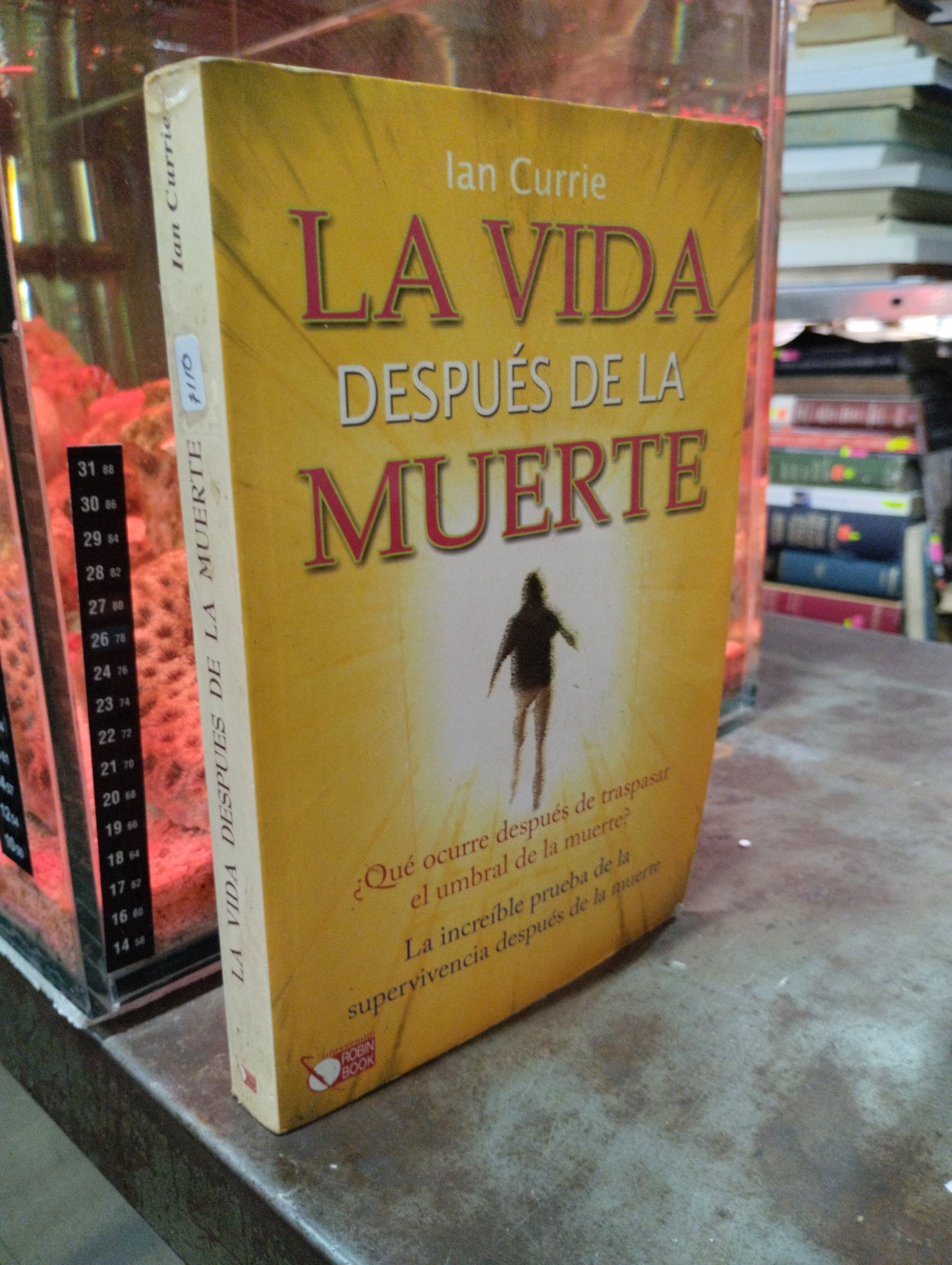 LA VIDA DESPUES DE LA MUERTE POR IAN CURRIE USADO SUPERACION PERSONAL ALDAMA