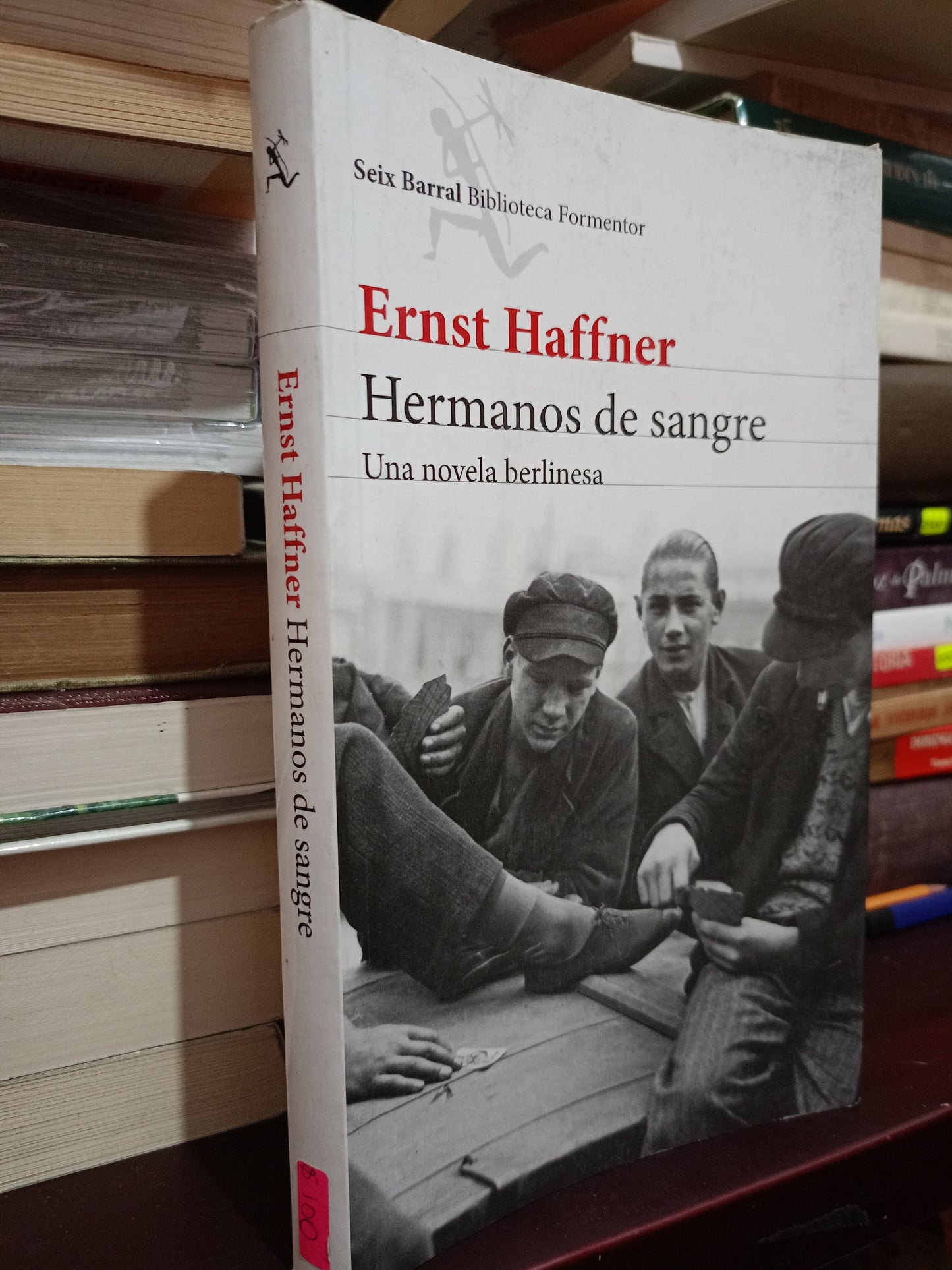 HERMANOS DE SANGRE POR ERNST HAFFNER USADO NOVELA LITERARIO 305