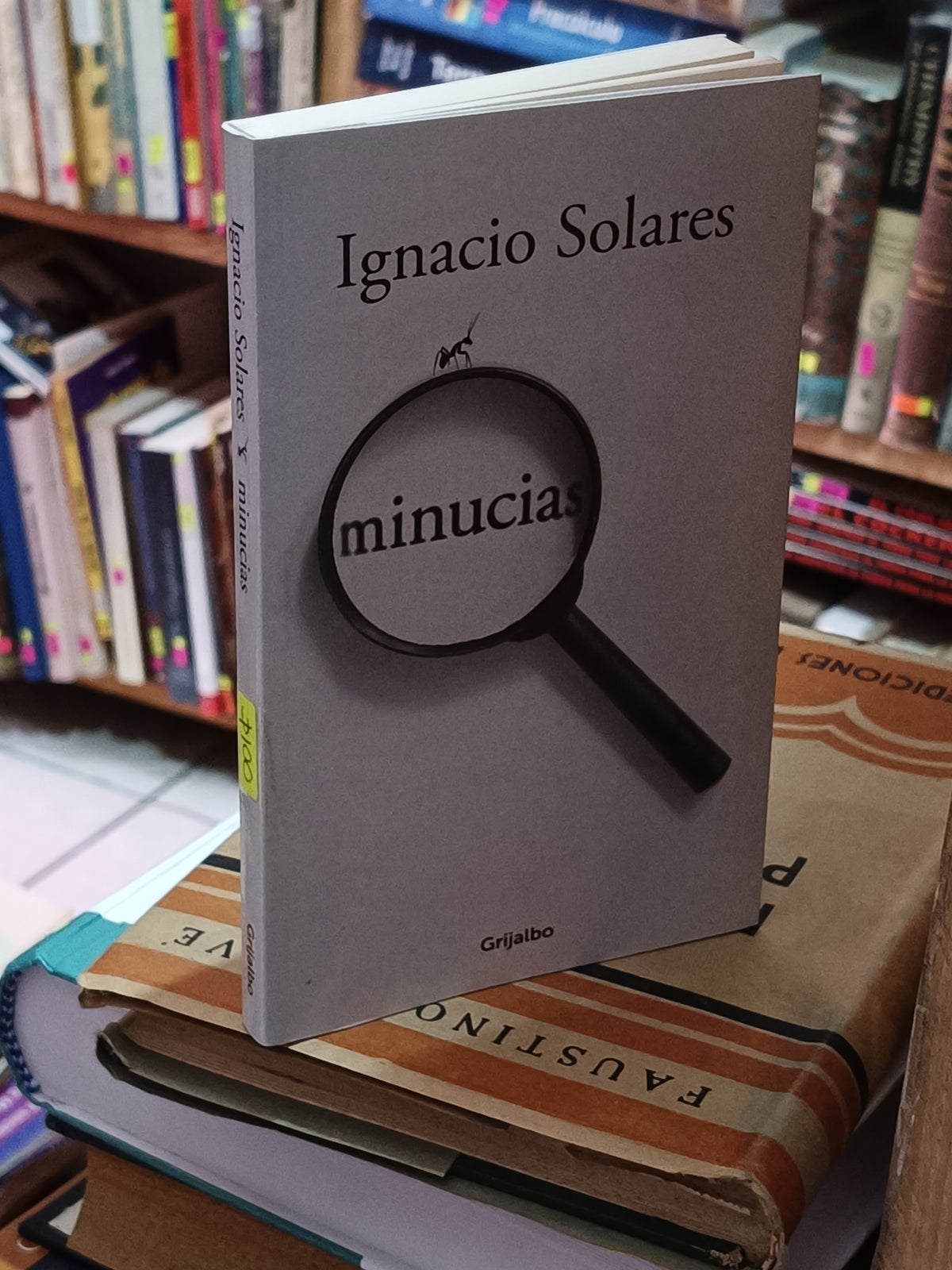 MINUCIAS IGNACIO SOLARES USADO NOVELA LITERARIO 305