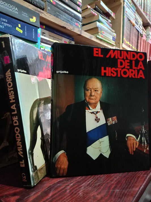 EL MUNDO DE LA HISTORIA USADO HISTORIA LITERARIO 305