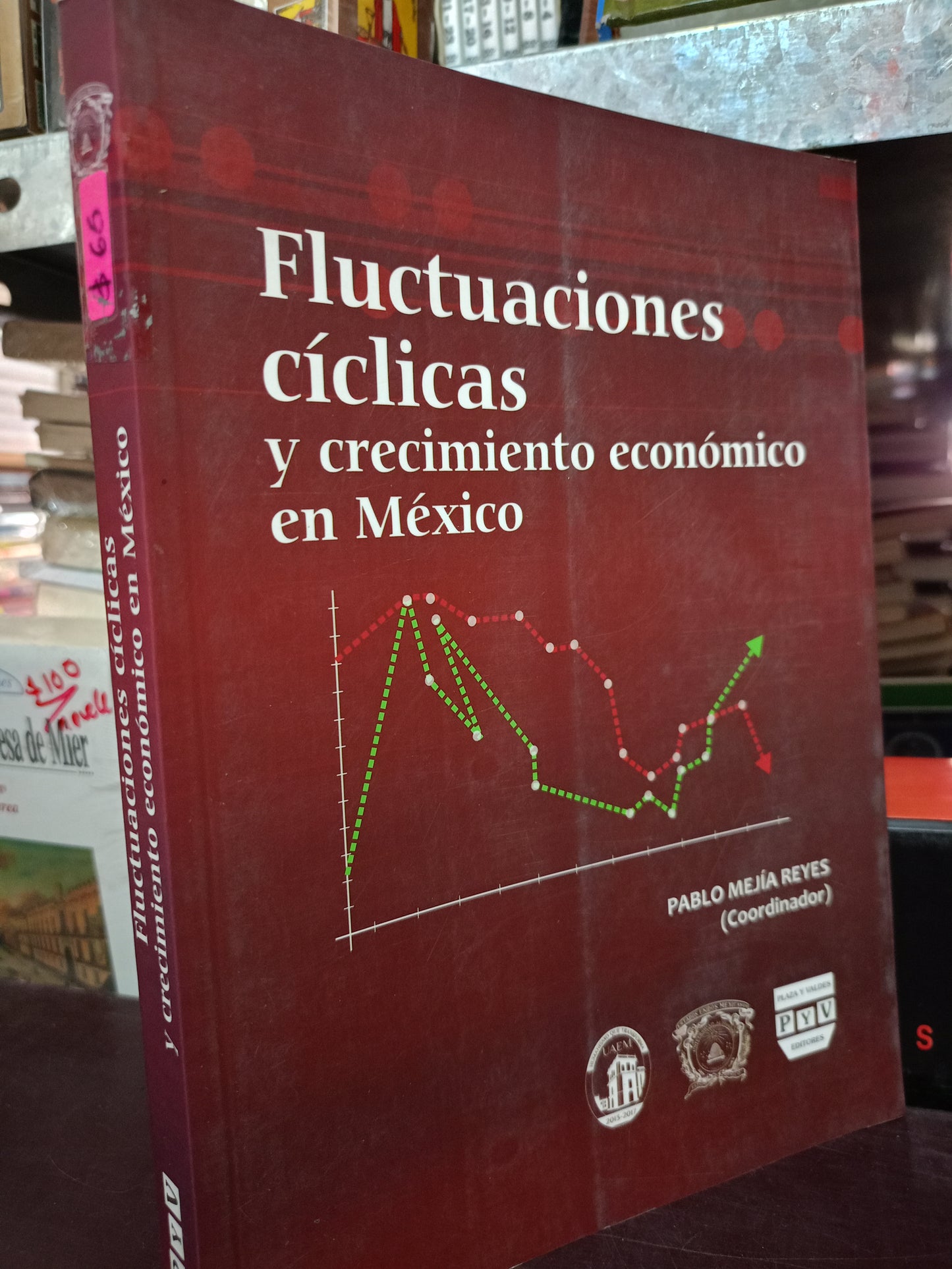 FLUCTUACIONES CICLICAS Y CRECIMIENTO ECONOMICO EN MEXICO USASO HISTORIA LITERARIO 305