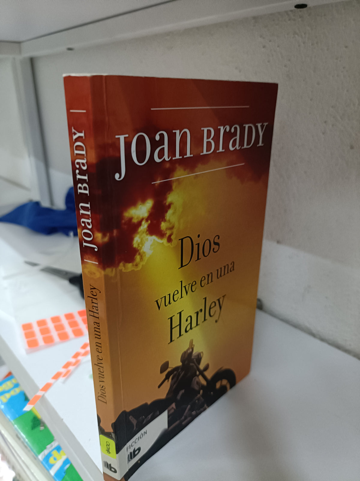 DIOS VULVE EN UNA HARLY POR JOAN BRADY USADO SUPERACION PERSONAL JUAREZ 515