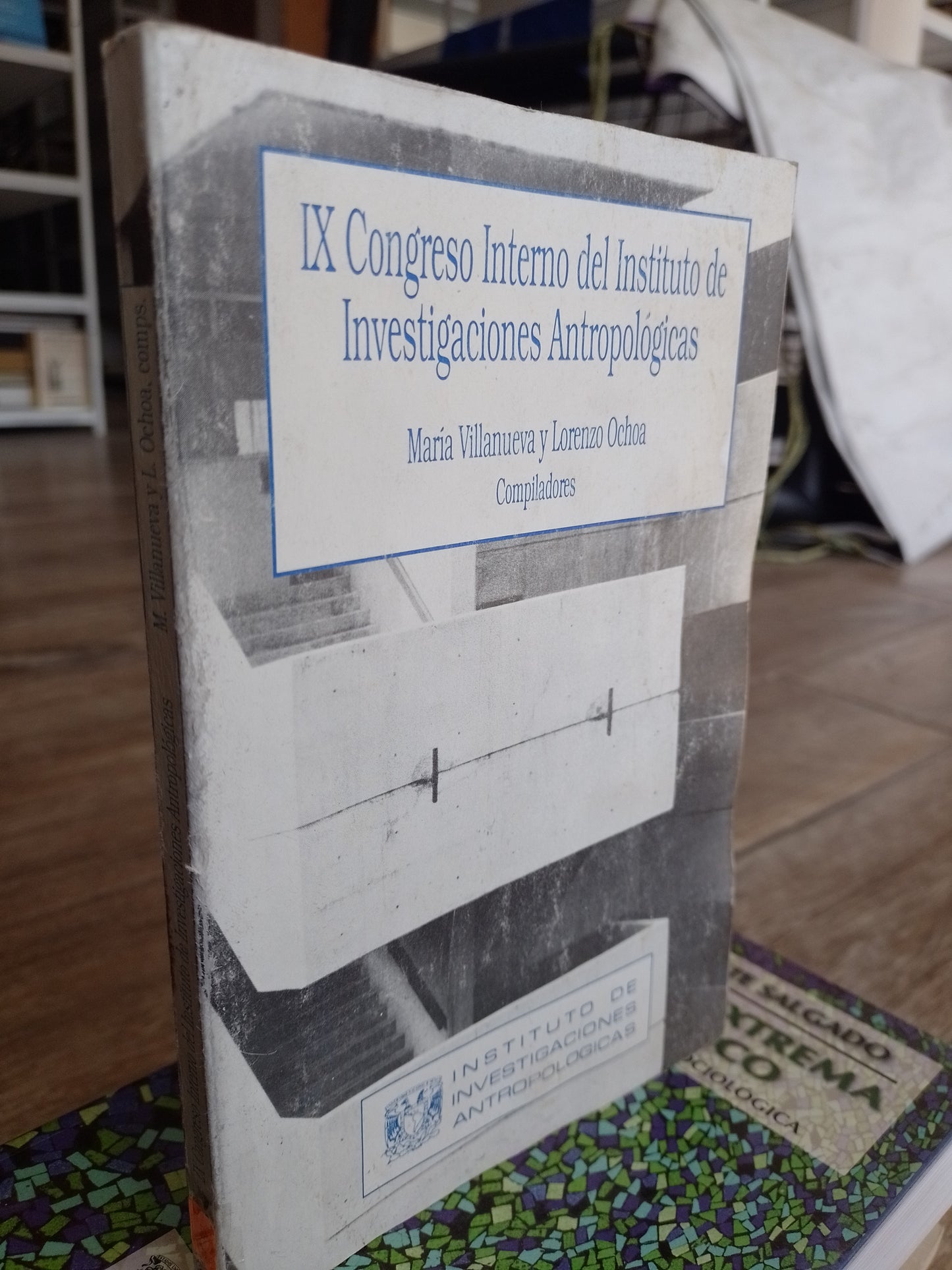 IX CONGRESOS INTERNO DEL INSTITUTO DE INVESTIGACIONES ANTROPOLOGICAS POR MARIA VILLANUEVA Y LORENZO OCHOA USADO SOCIOLOGIA 515