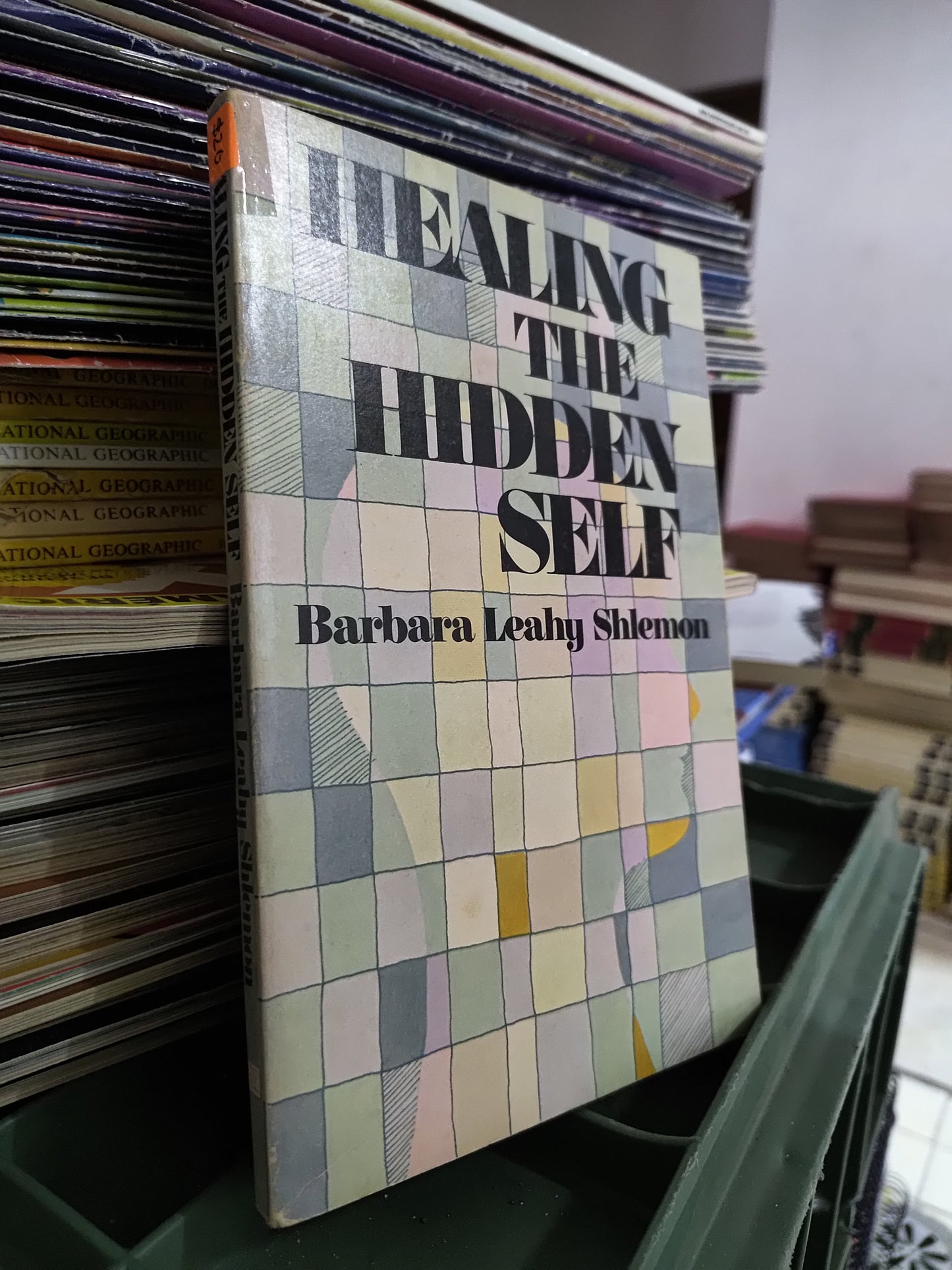 HEALING THE HIDDEN SELF POR BARBARA LEAHY SHLEMON USADO IDIOMAS JUAREZ 515