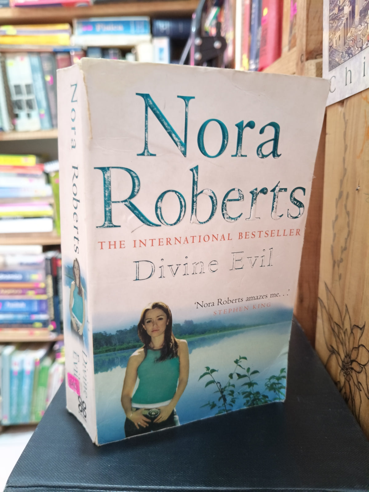 DIVINE EVIL NORA ROBERTS THE INTERNACIONAL BESTSELLER USADO IDIOMAS LITERARIO 305
