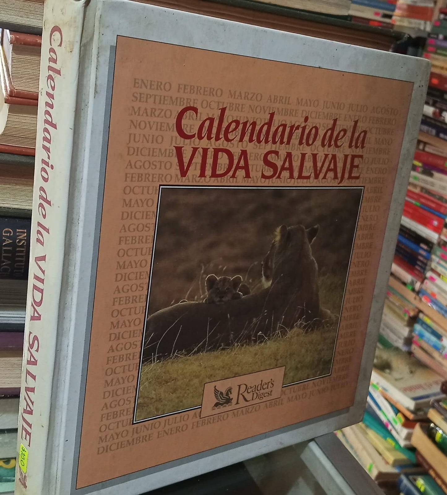 CALENDARIO DE LA VIDA SALVAJE USADO ARTE JUAREZ 507